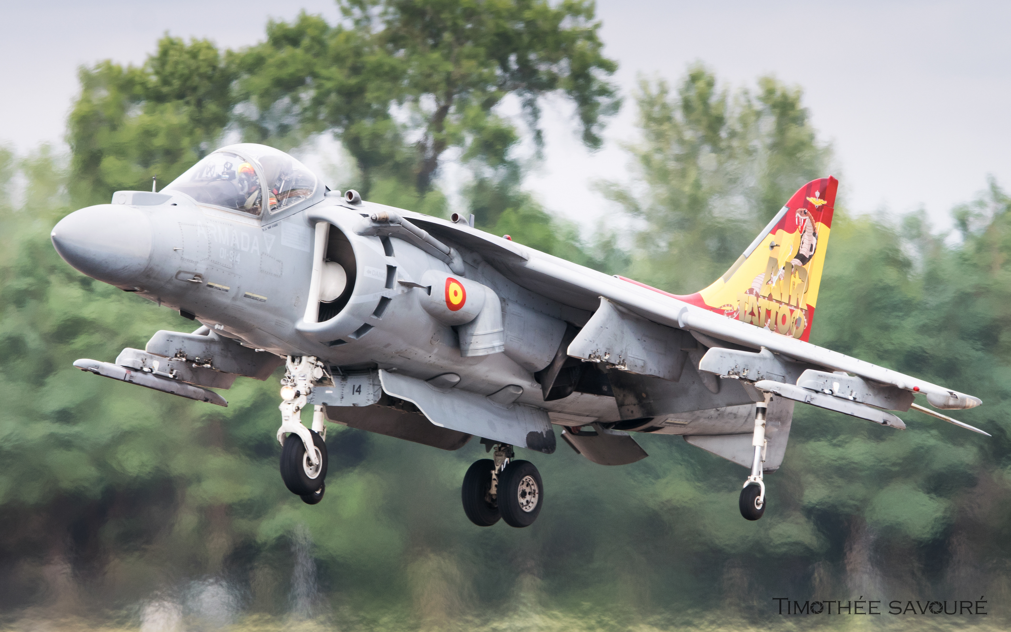 Spanish Navy McDonnell Douglas EAV-8B Harrier II | VA.1B-24