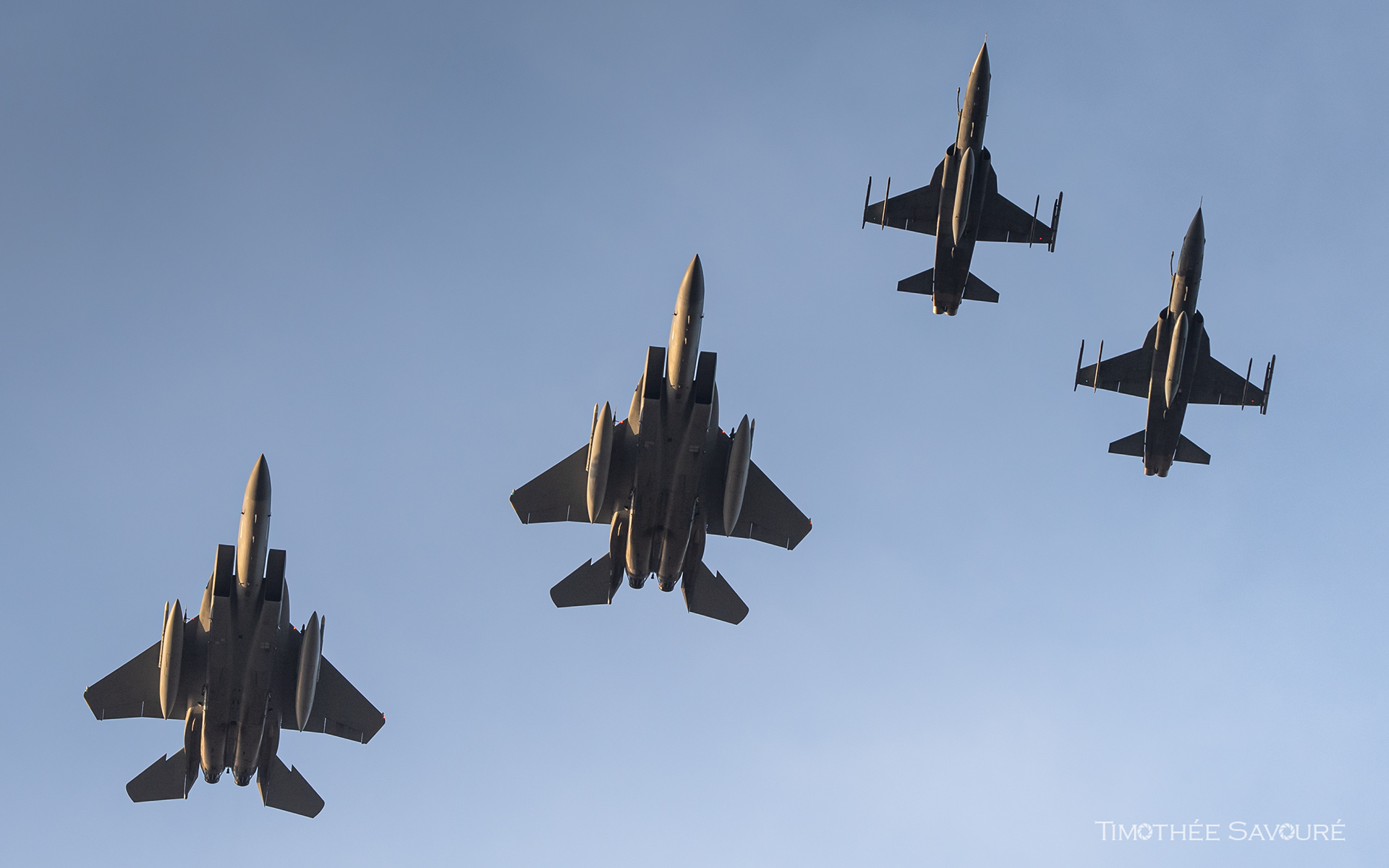 USAF F-15C & FAB F-5EM
