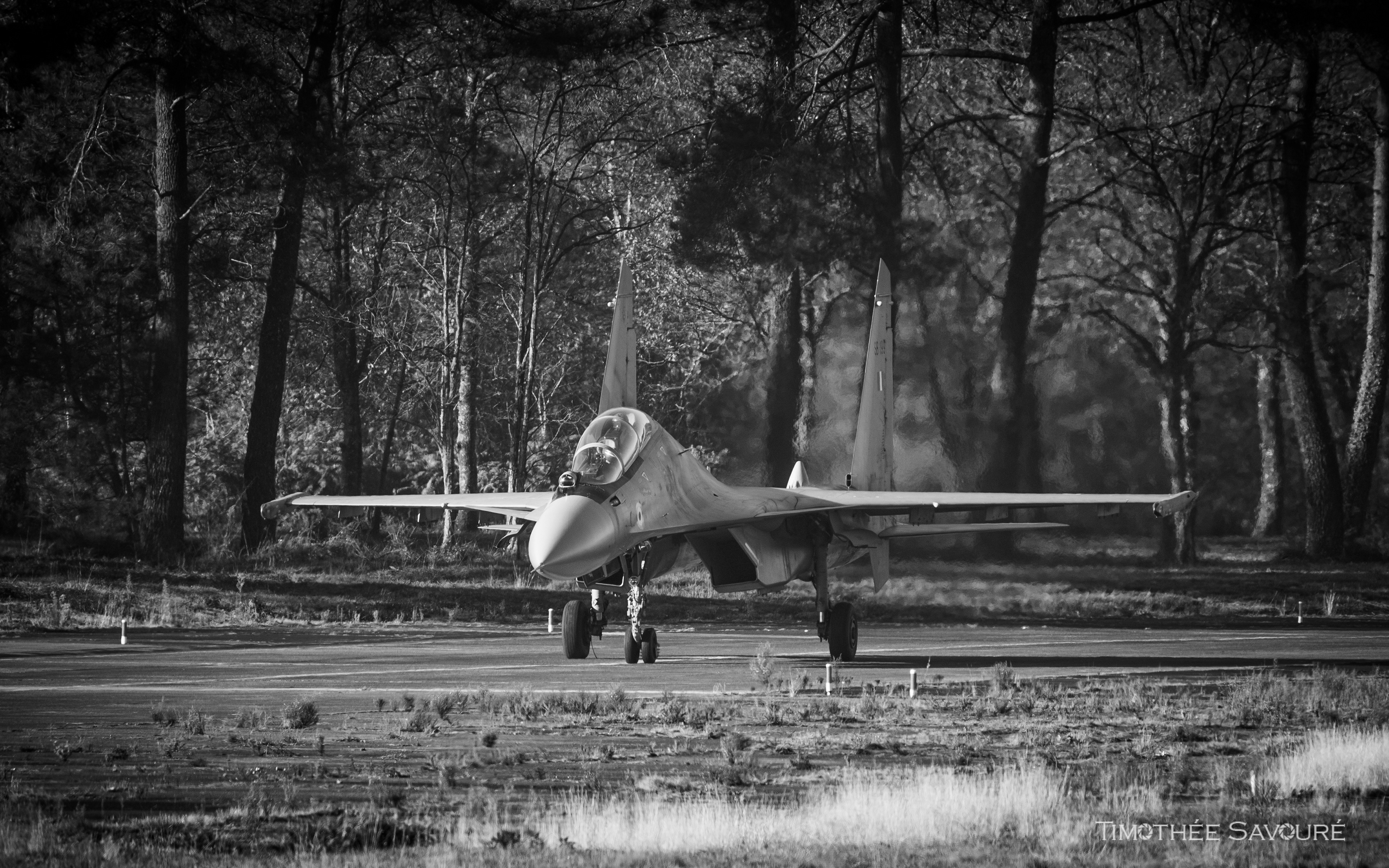 Indian Air Force Sukhoi Su-30MKI - BA118 Mont-de-Marsan - SB199