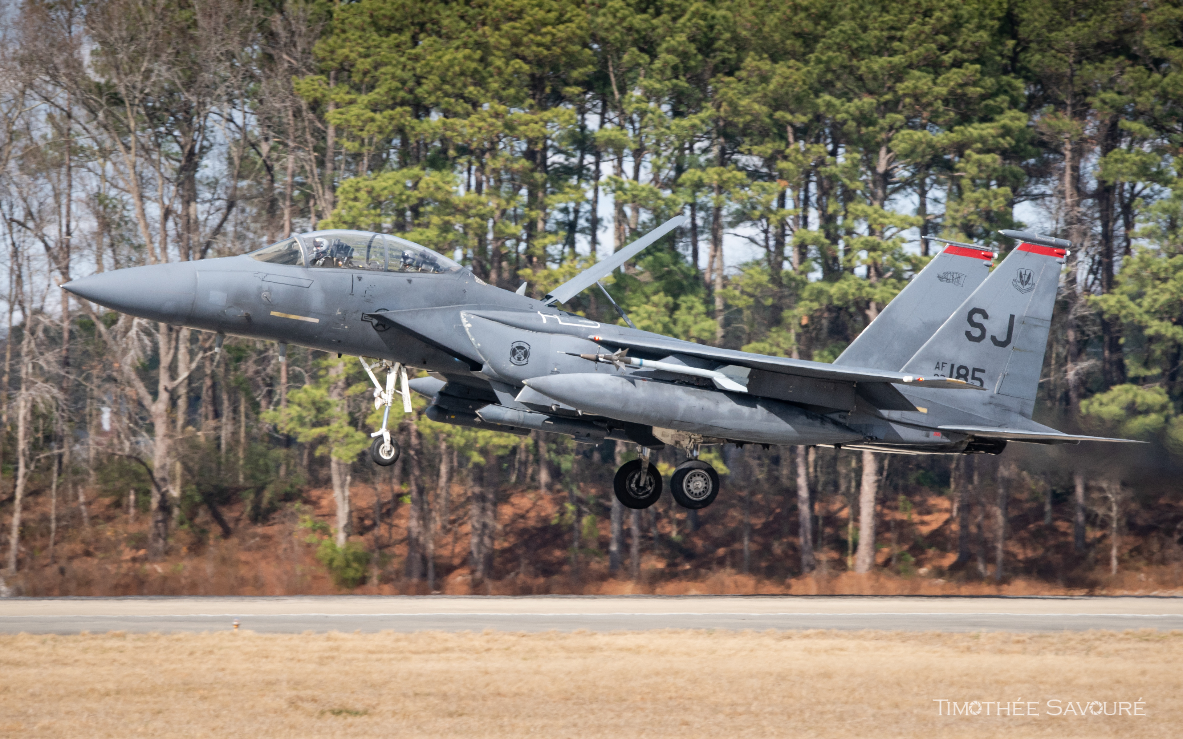  F-15E Strike Eagle | 333rd Fighter Squadron 'Lancers'