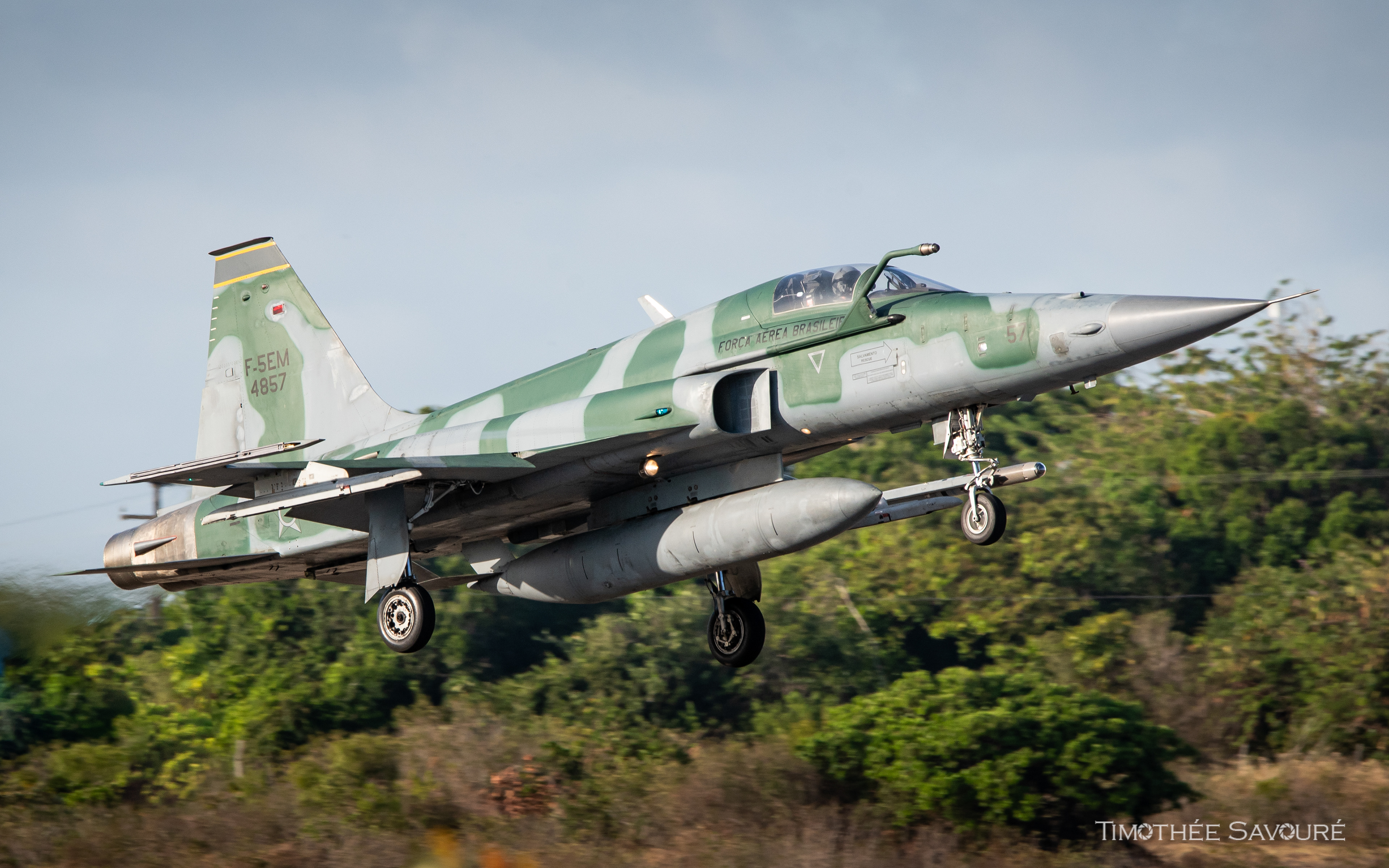 Força Aérea Brasileira F-5EM Tiger II