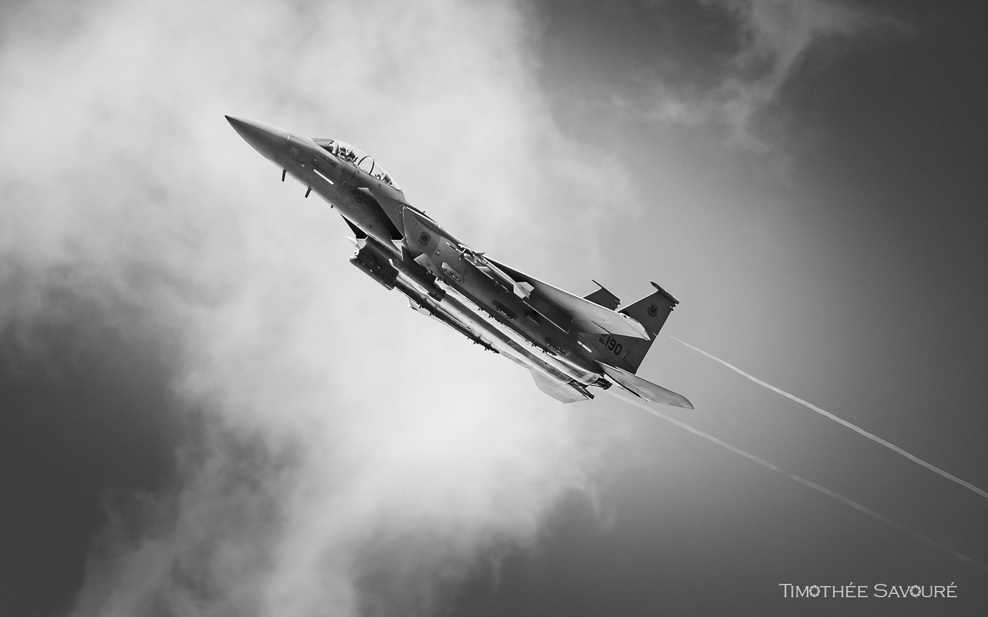 F-15E Strike Eagle | 335th Fighter Squadron 'Chiefs'