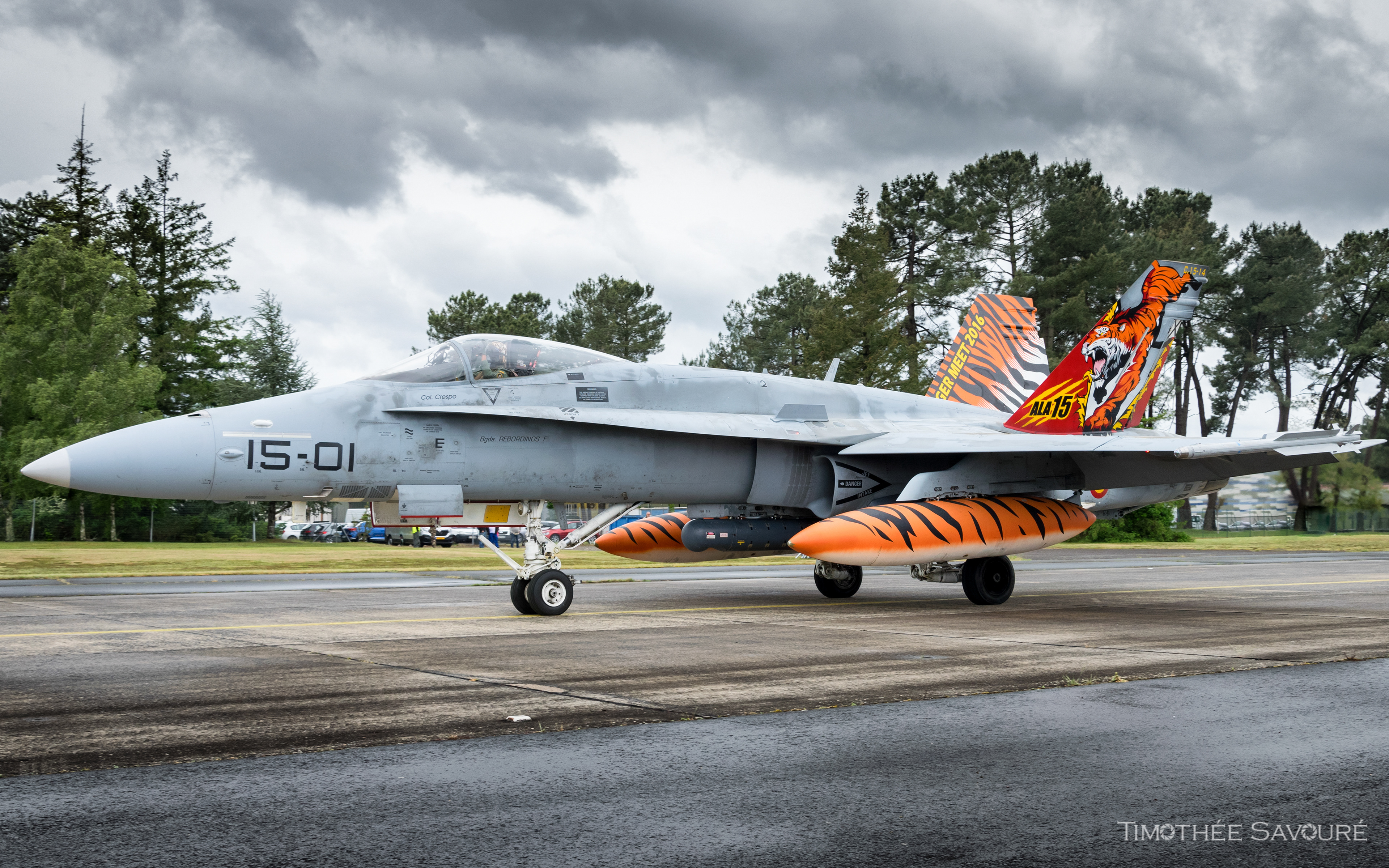 Spanish Air Force F-18A Mont-de-Marsan NATO Tiger Meet 2019
