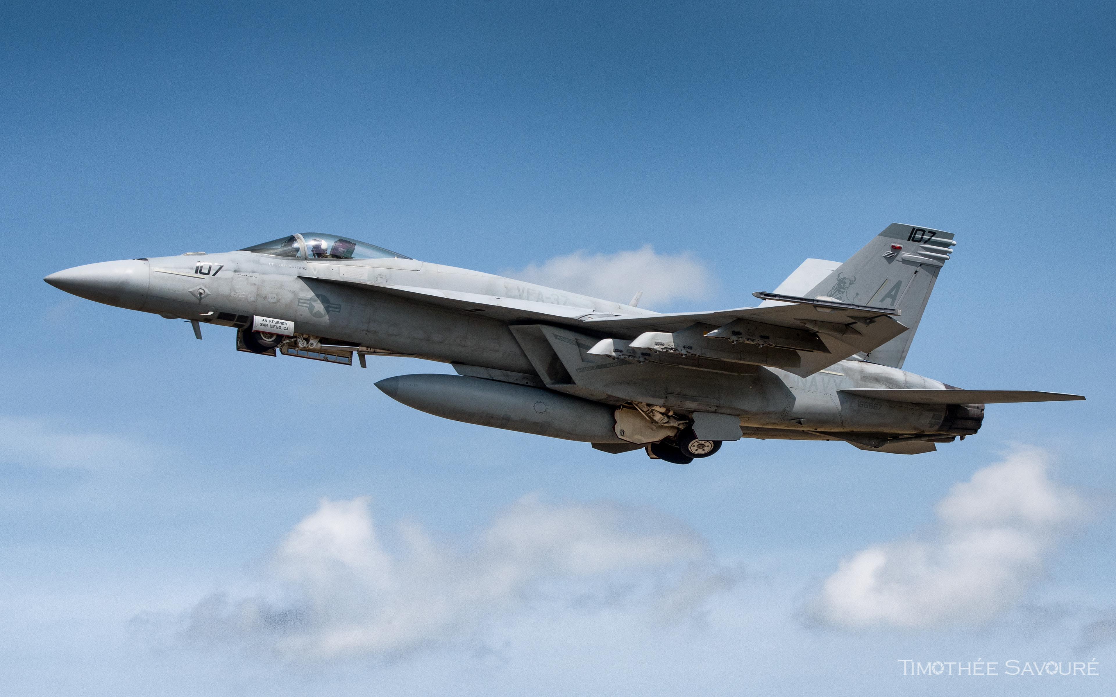 US Navy F/A-18E Super Hornet | 166867