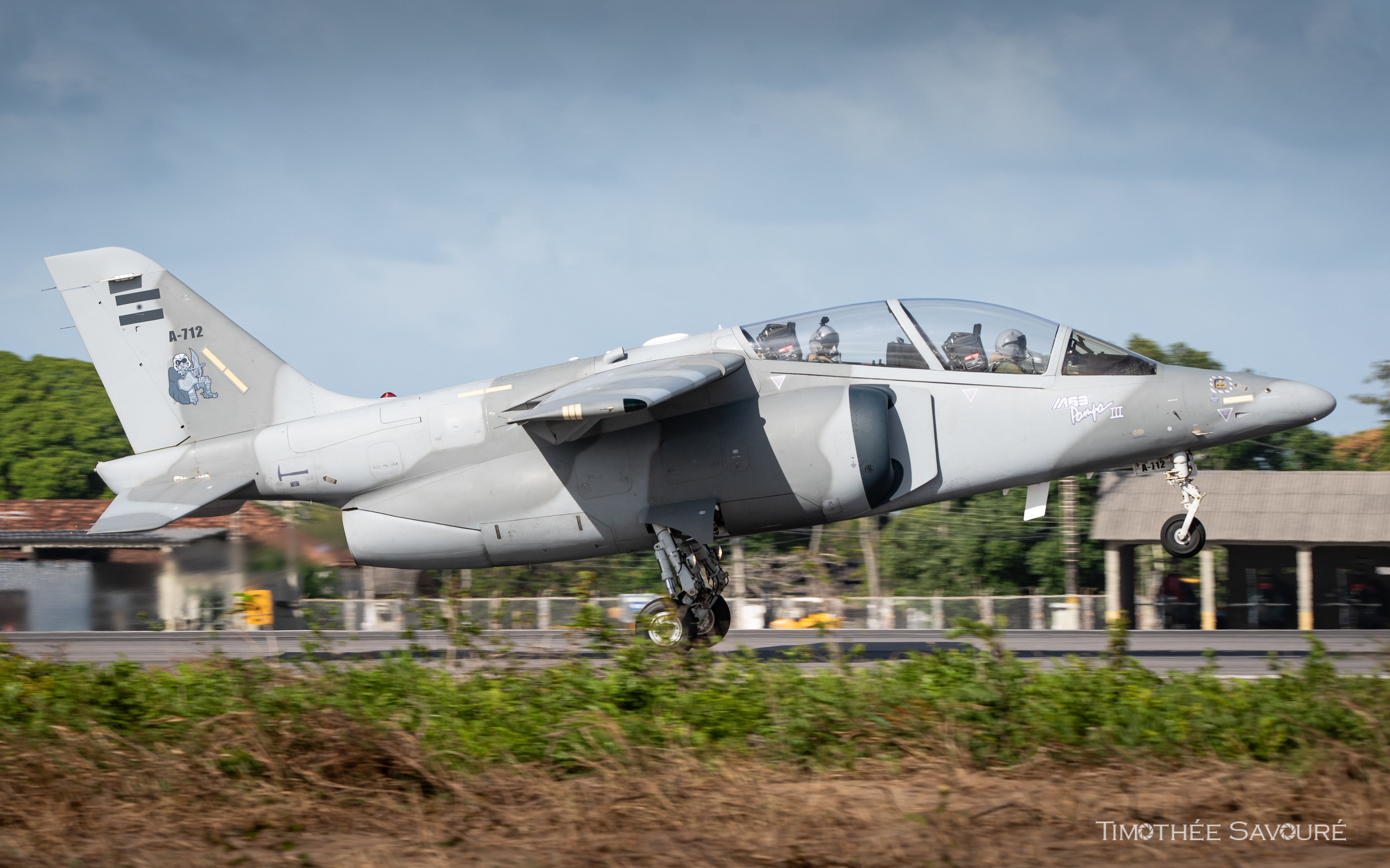 Fuerza Aérea Argentina IA-63 Pampa
