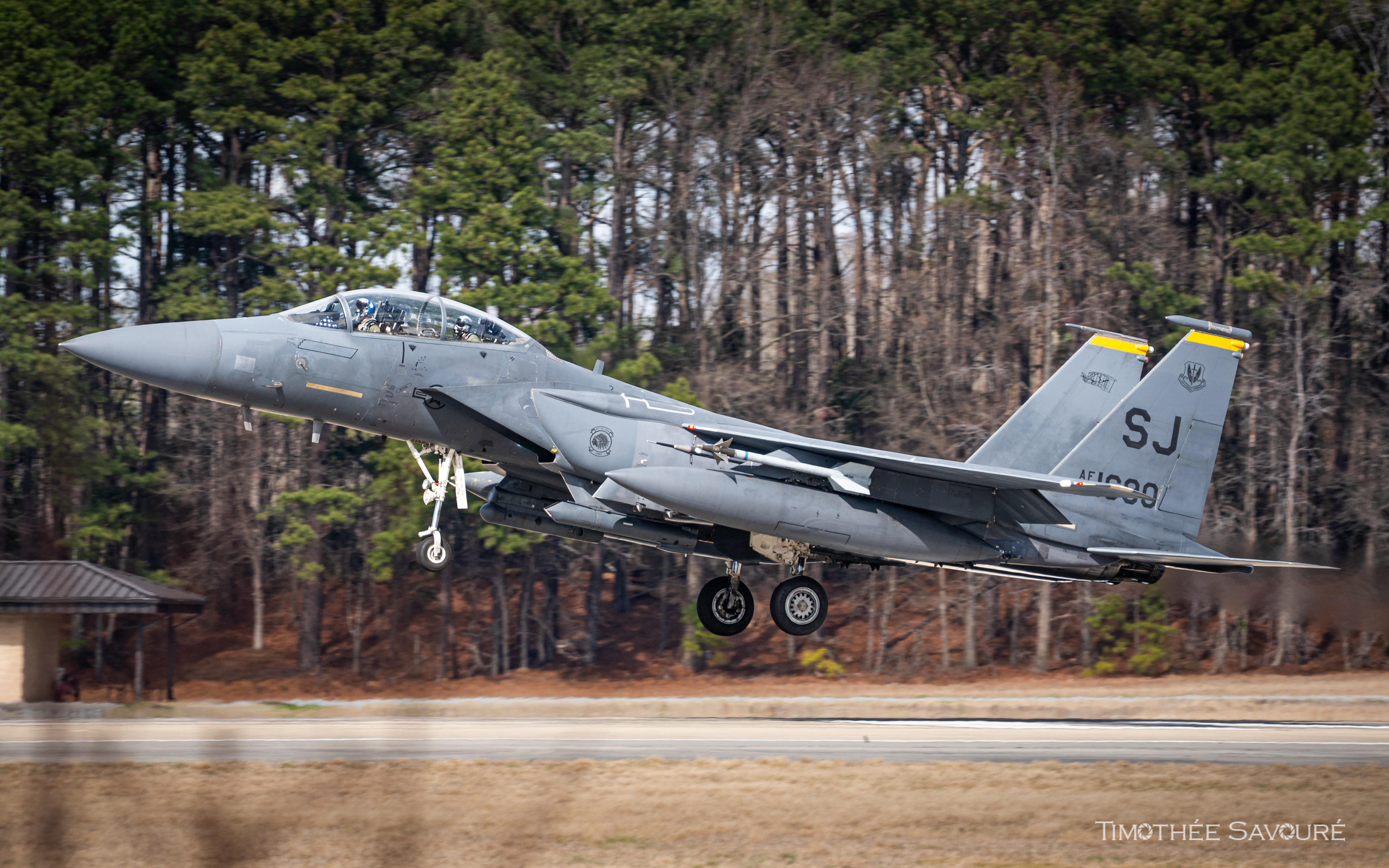 F-15E Strike Eagle | 335th Fighter Squadron 'Chiefs'