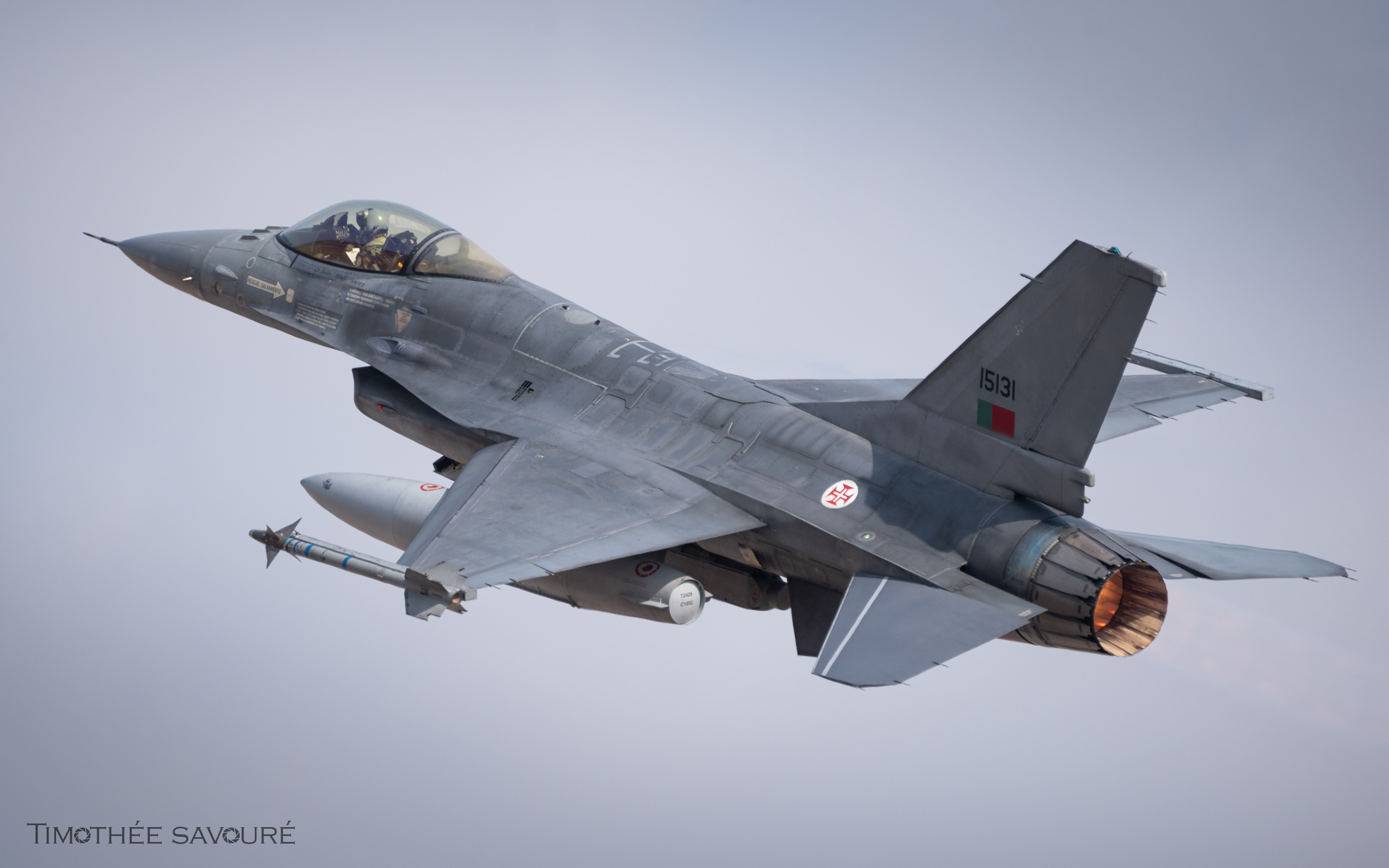 Portuguese Air Force General Dynamics F-16A | 15131