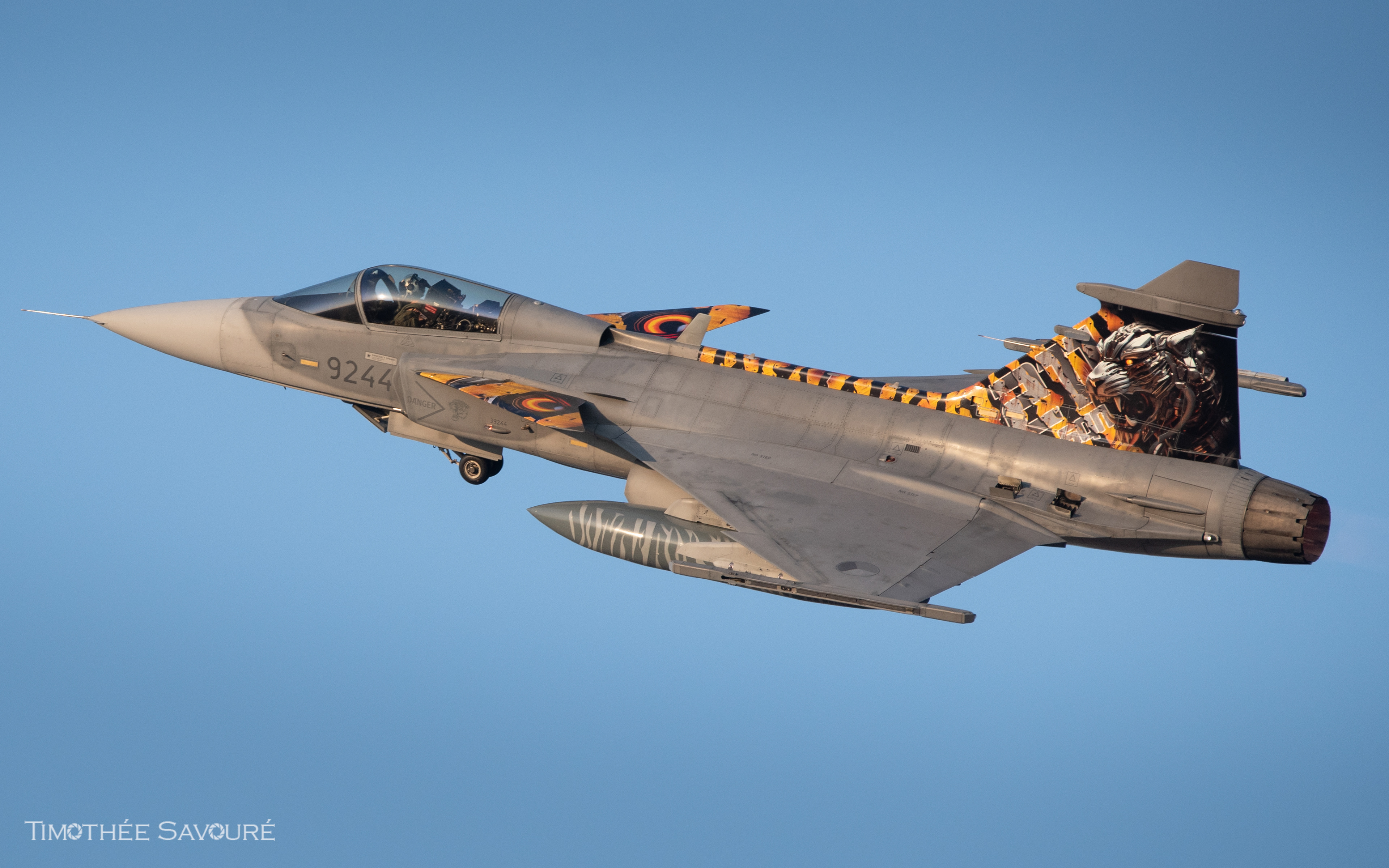 Czech Air Force Saab JAS-39C Gripen | 9244
