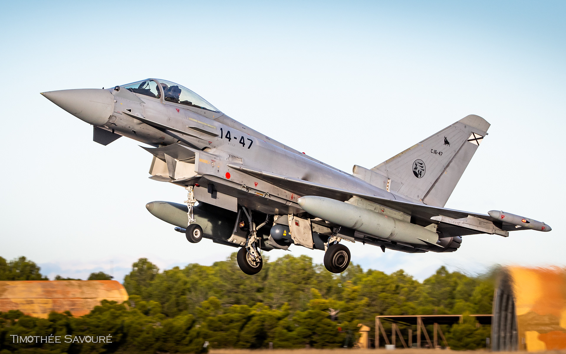 Spanish Air Force Eurofighter Typhoon - ALA 14
