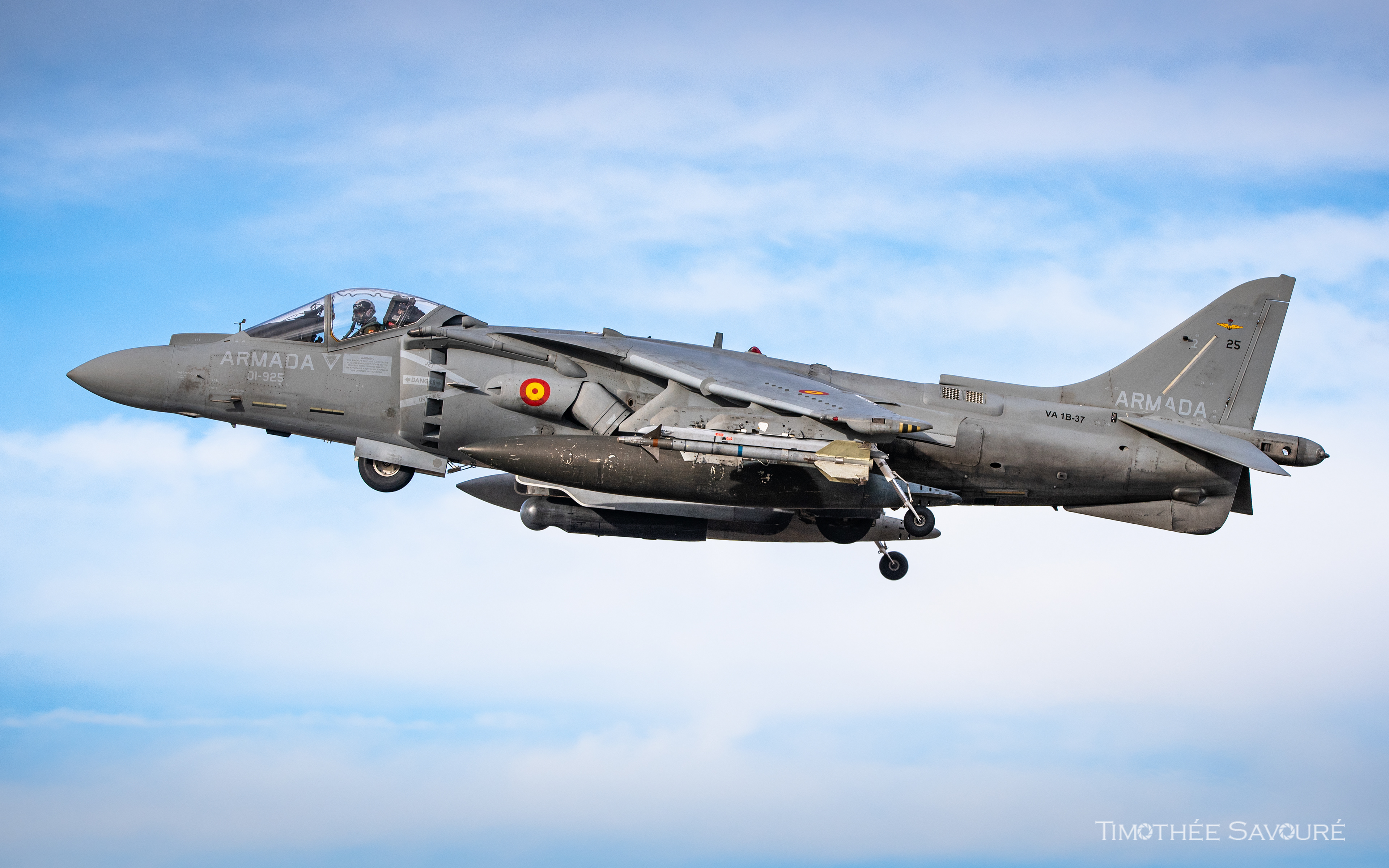 Armada Española AV-8B Harrier II Plus - 9ª Escuadrilla Aeronaves