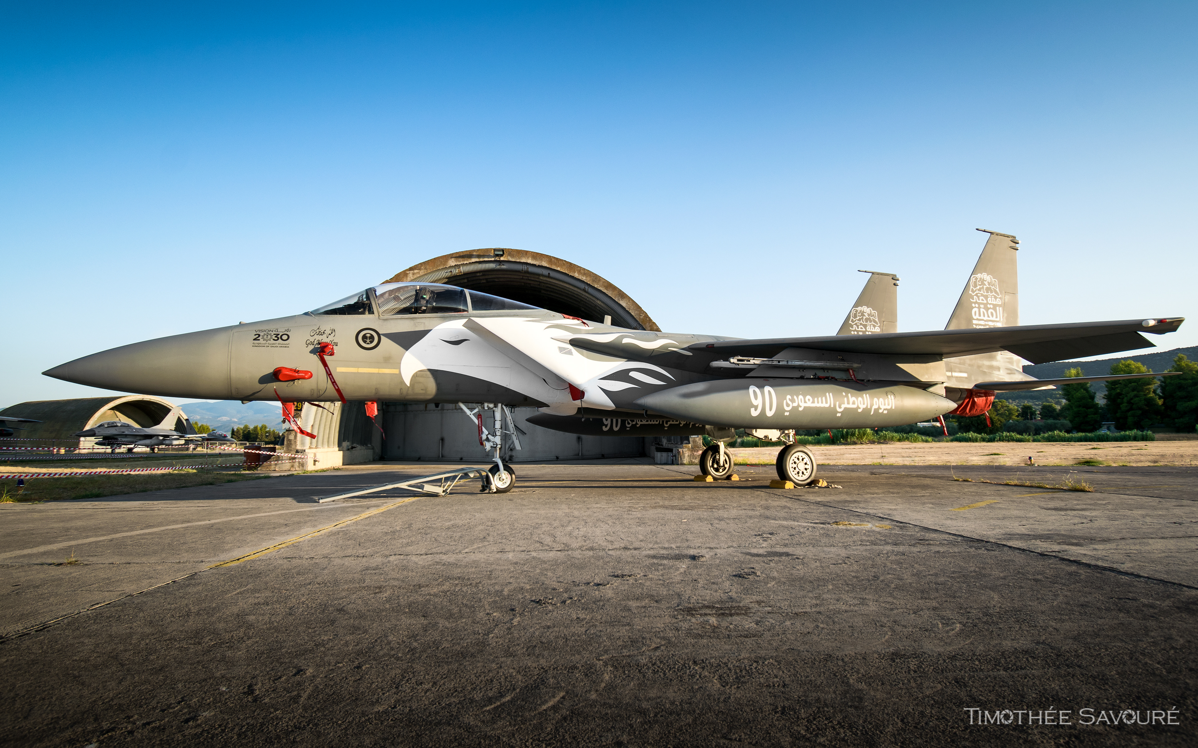 Royal Saudi Air Force Boeing F-15C | 203