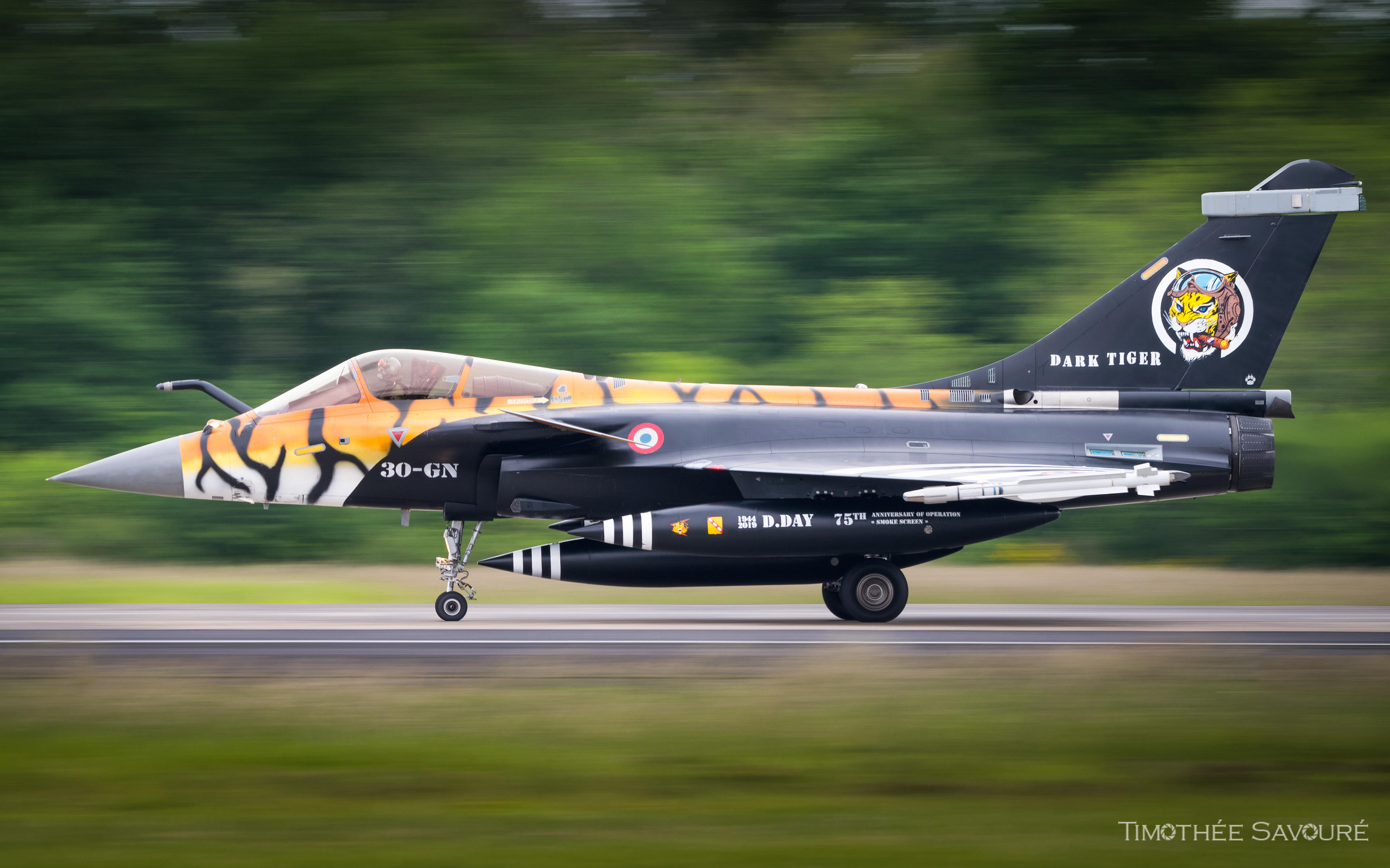Armée de l'Air Dassault Rafale C Dark Tiger NATO