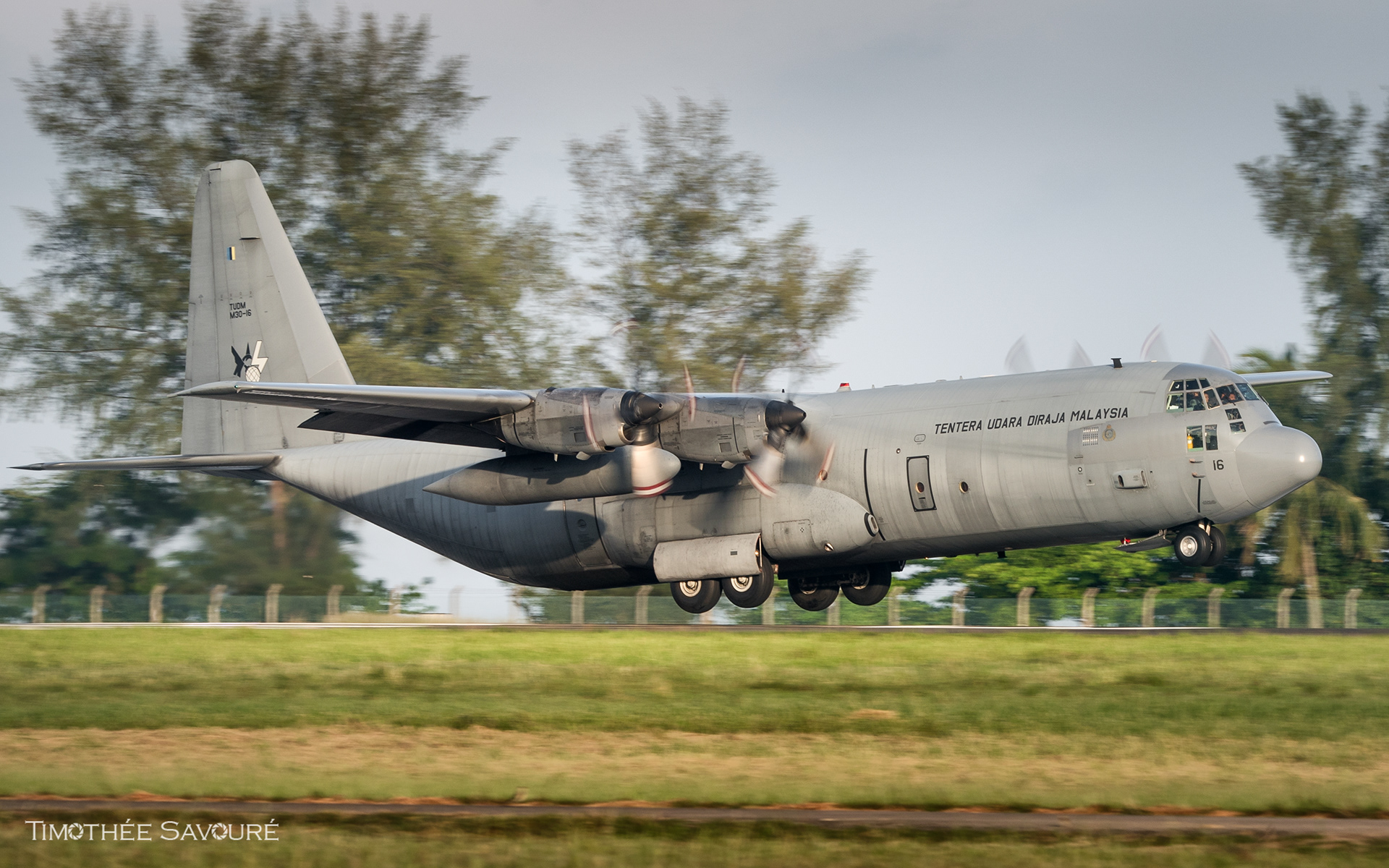 Royal Malaysian Air Force (TUDM) Lockheed C-130H-30 landing | M30-16