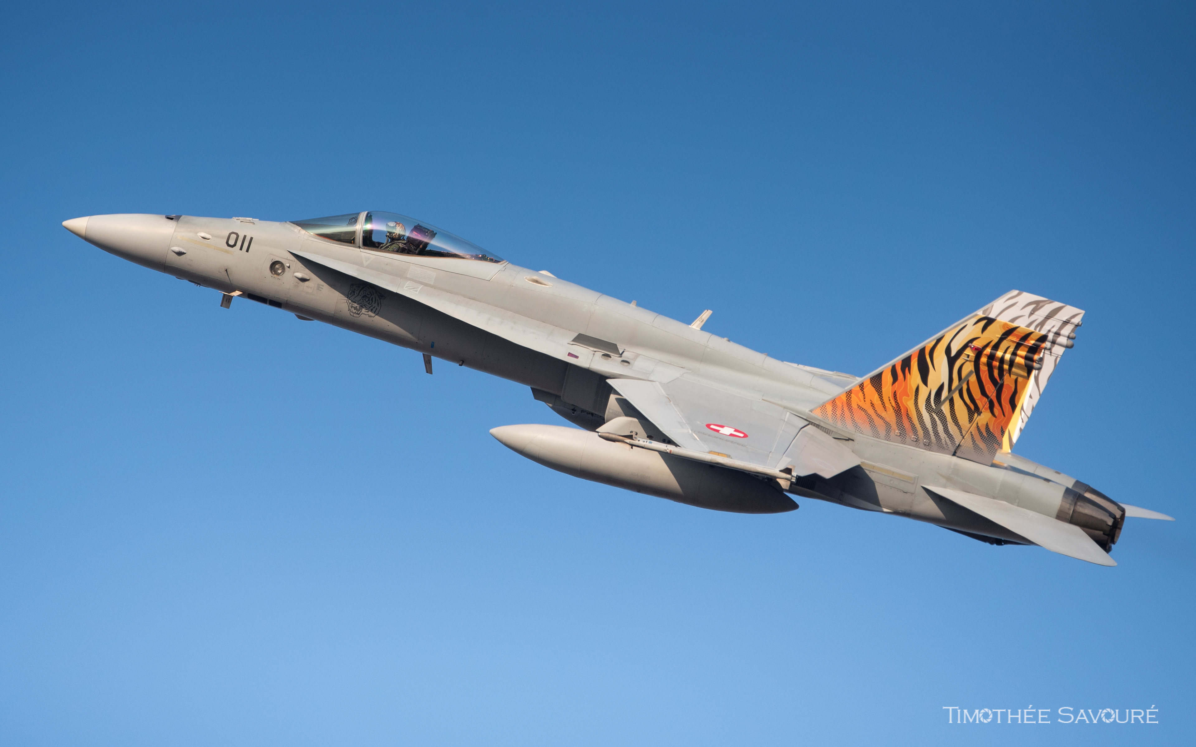 Swiss Air Force Boeing F/A-18C Hornet | J-5011