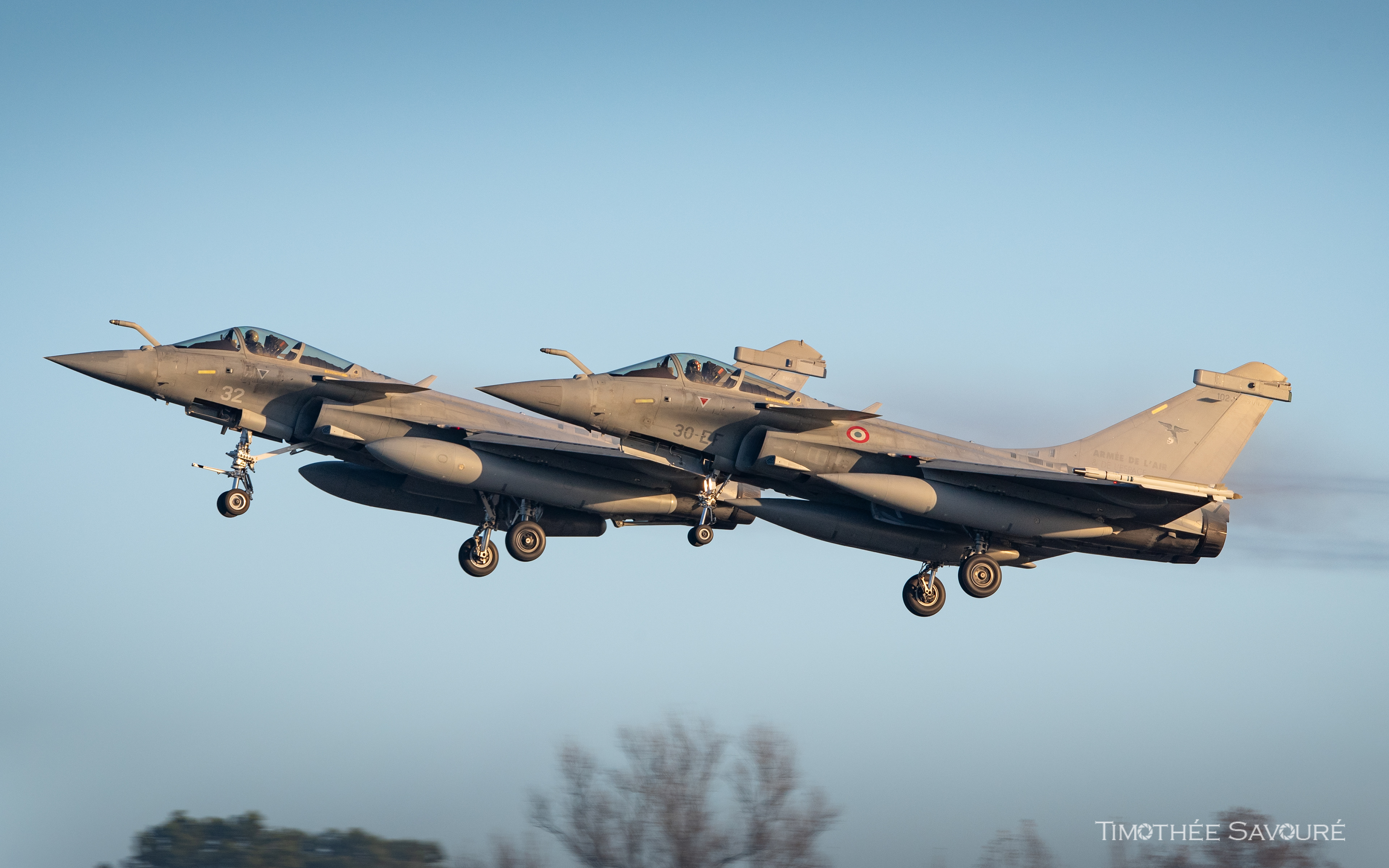 Armée de l'Air & Marine Nationale Dassault Rafale C & M  - BA118 Mont-de-Marsan