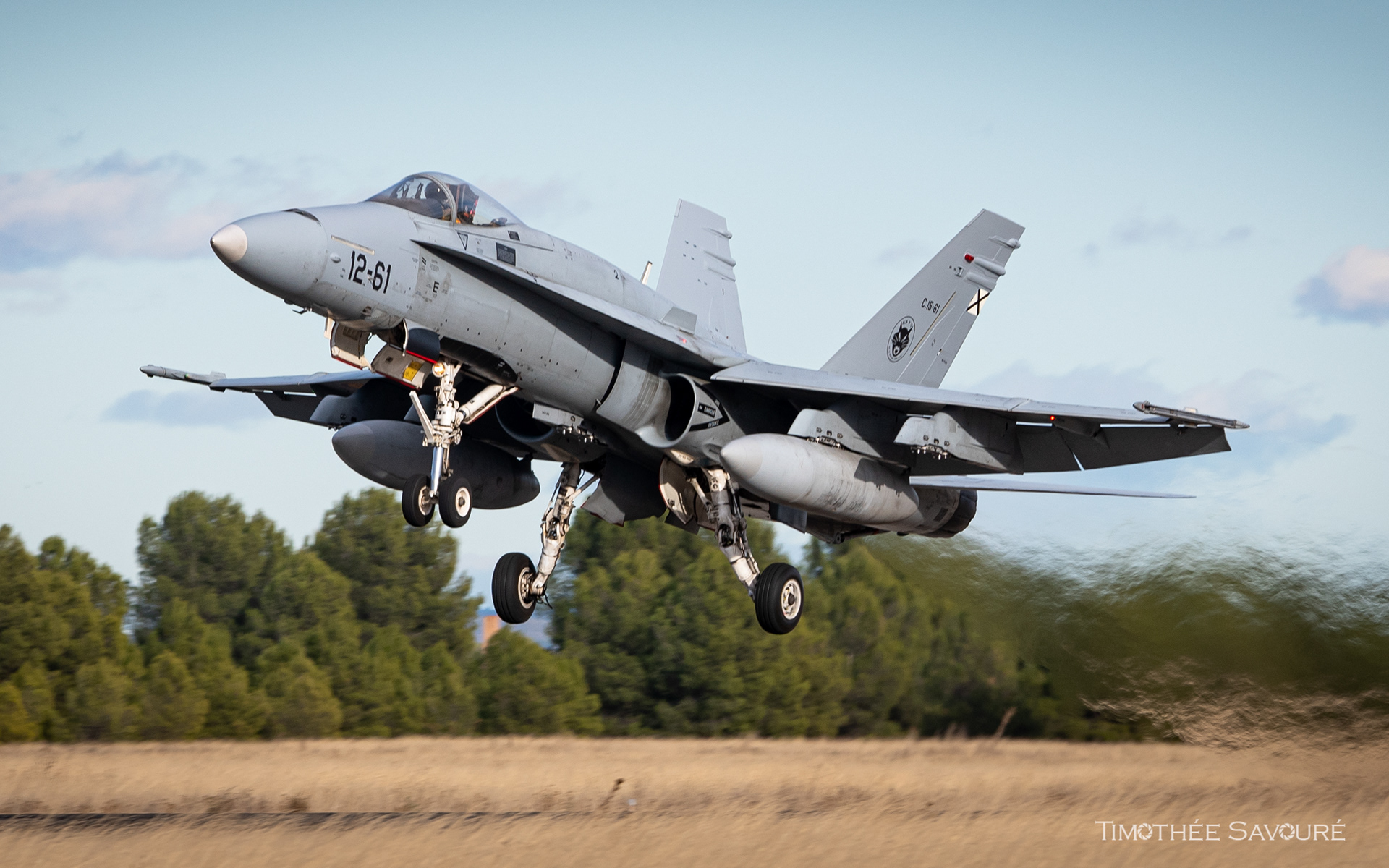 Spanish Air Force EF-18M Hornet - Ala 12