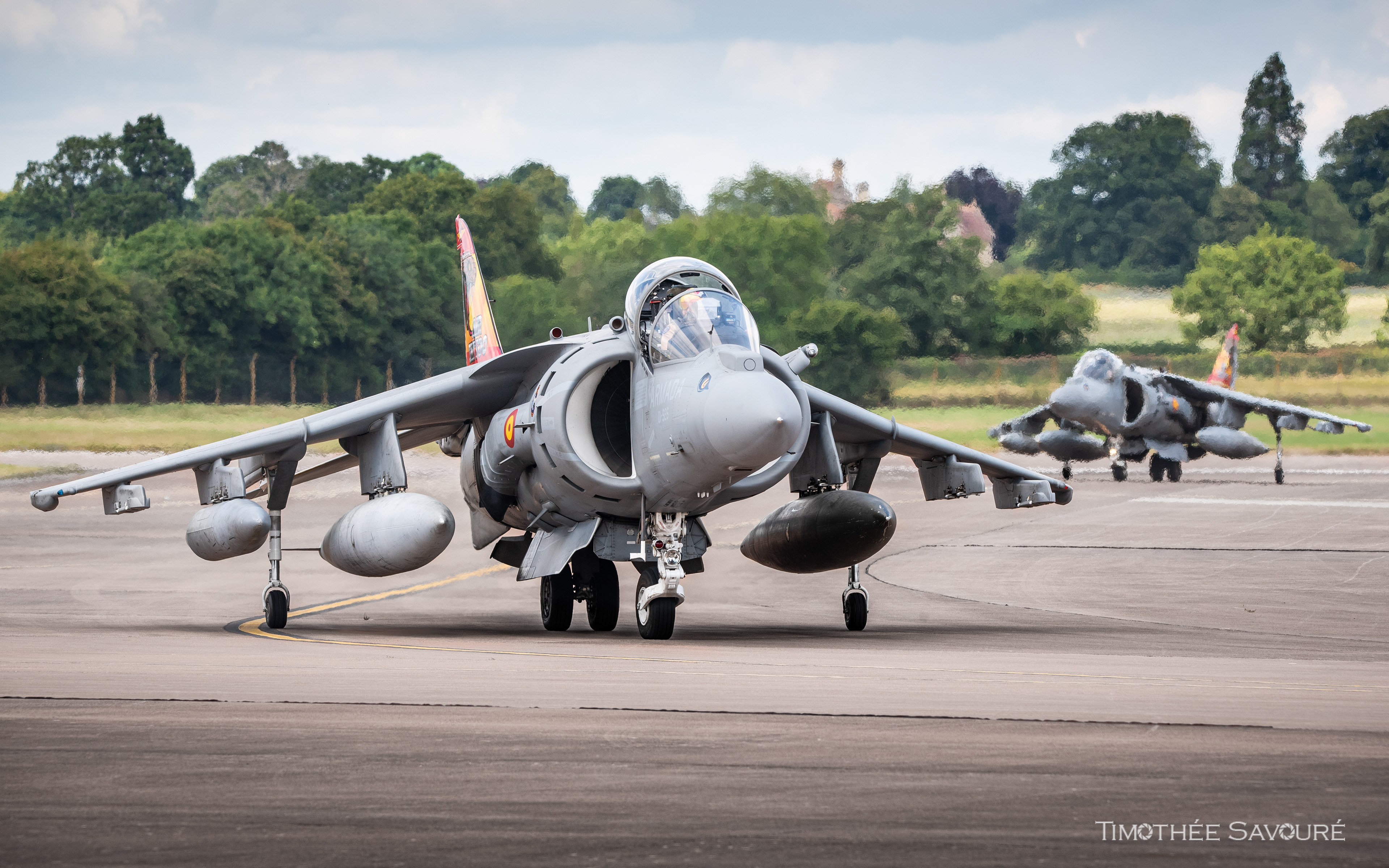 Spanish Navy McDonnell Douglas EAV-8B Harrier II | VA.1B-36 & VA.1B-38 | 9 Escuadrilla