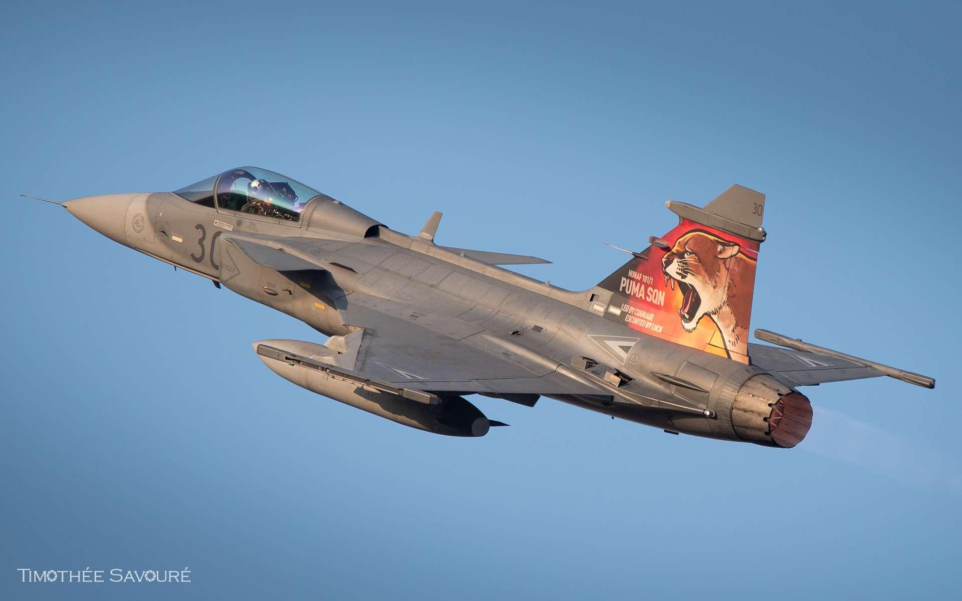 Hungarian Air Force Saab JAS-39C Gripen | 30