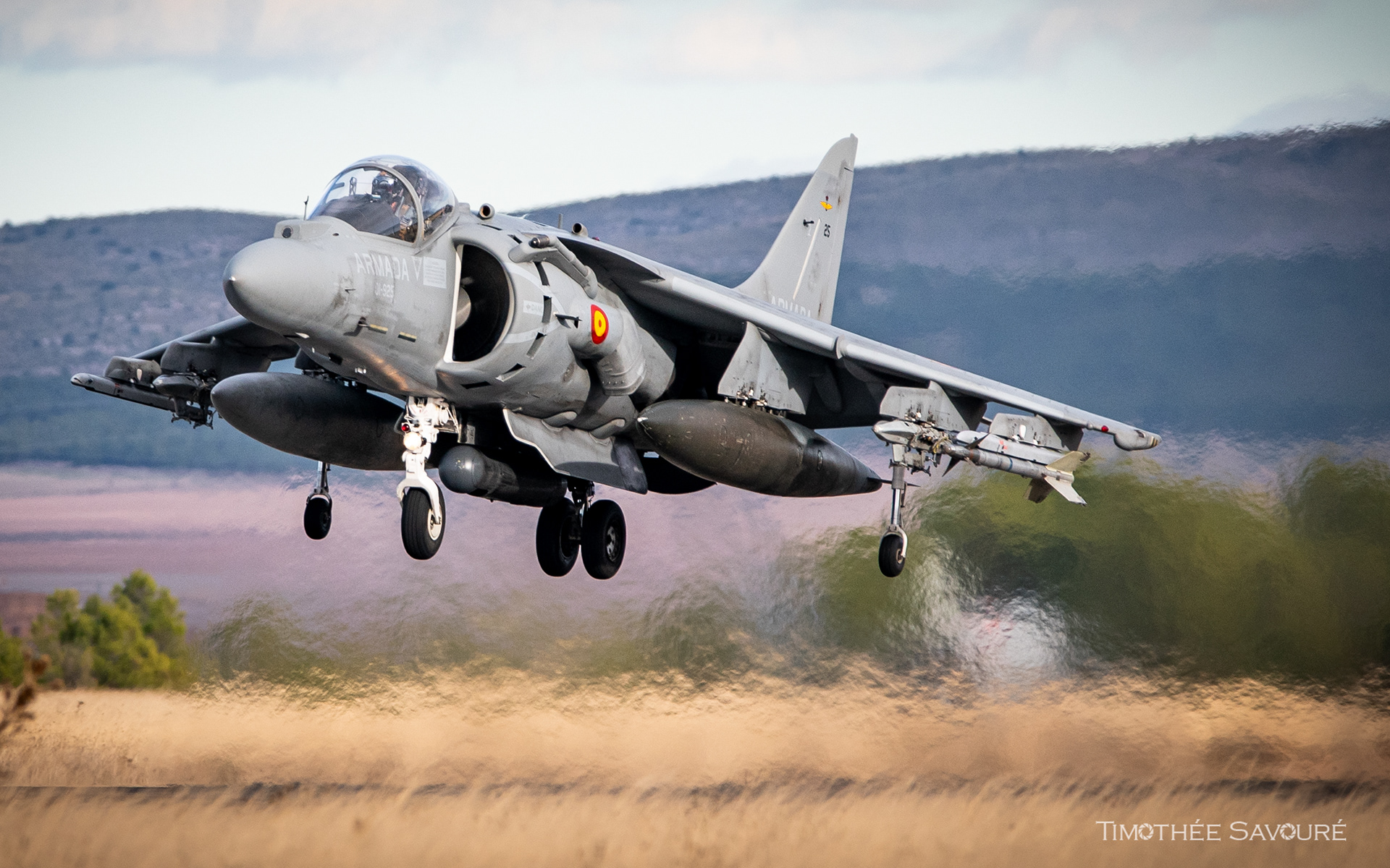 Spanish Navy (Armada española) McDonnell Douglas AV-8B+ II Plus - 9ª Escuadrilla Aeronaves