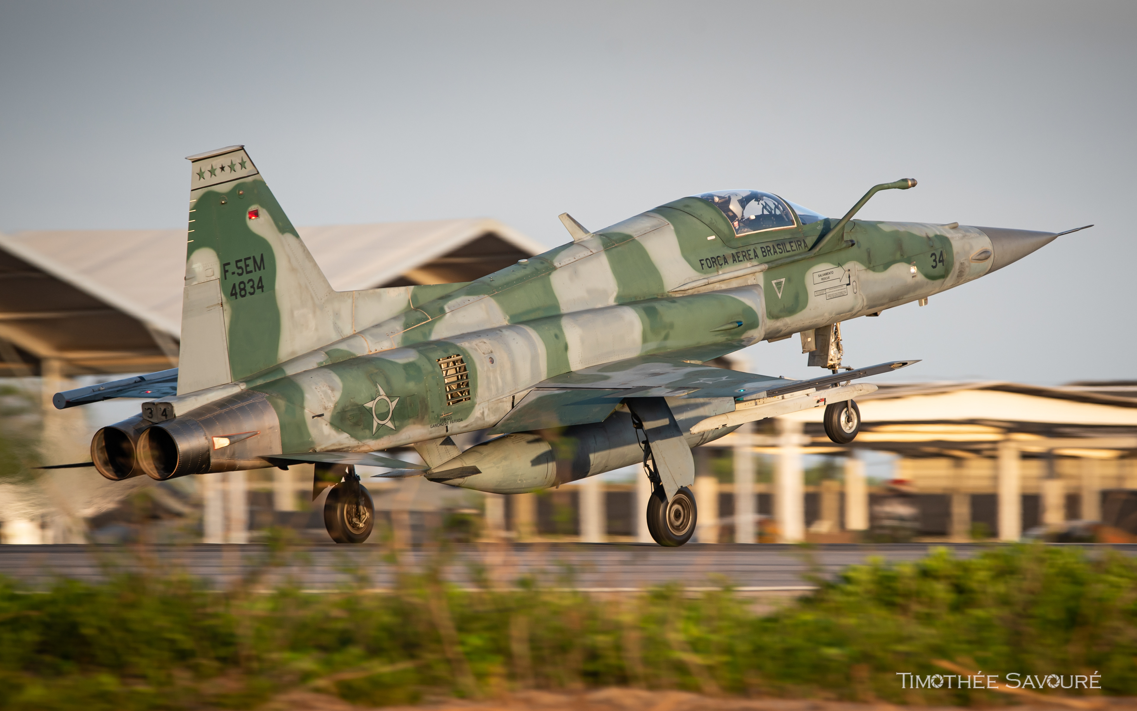 Força Aérea Brasileira Northrop F-5EM Tiger II