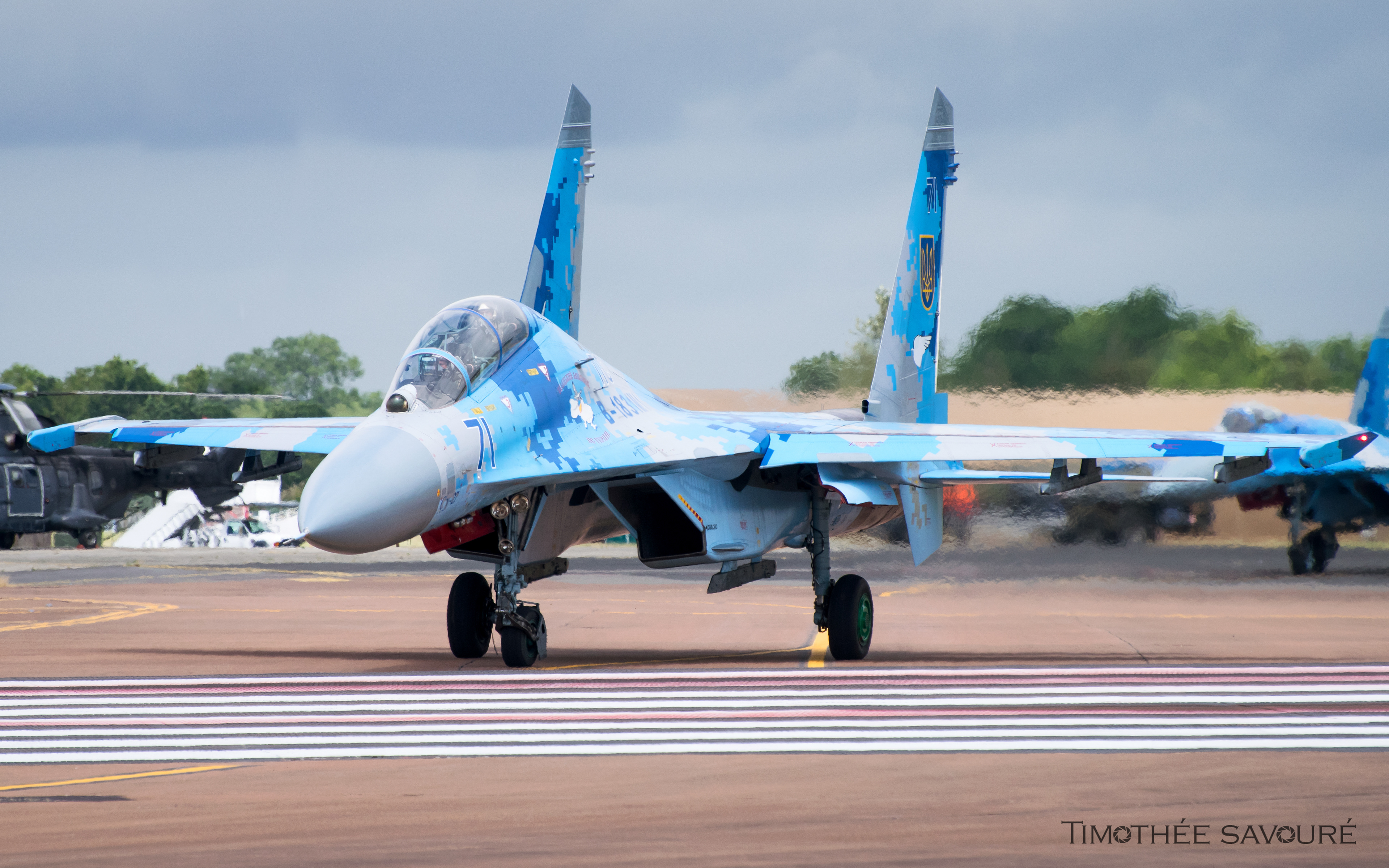 Ukraine Air Force Sukhoi Su-27UB | 71 Blue