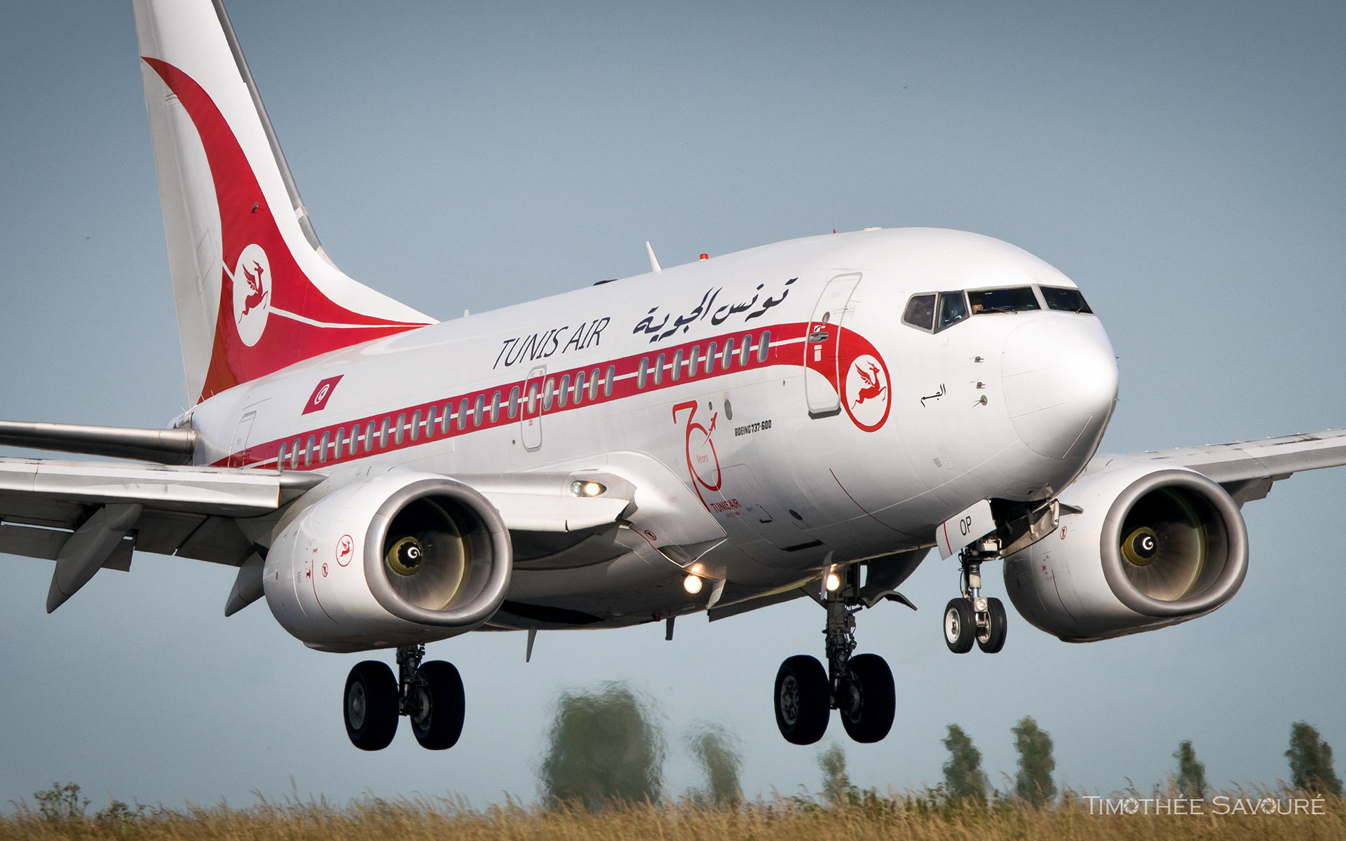 Tunis Air Boeing 737-500 | TS-IOP
