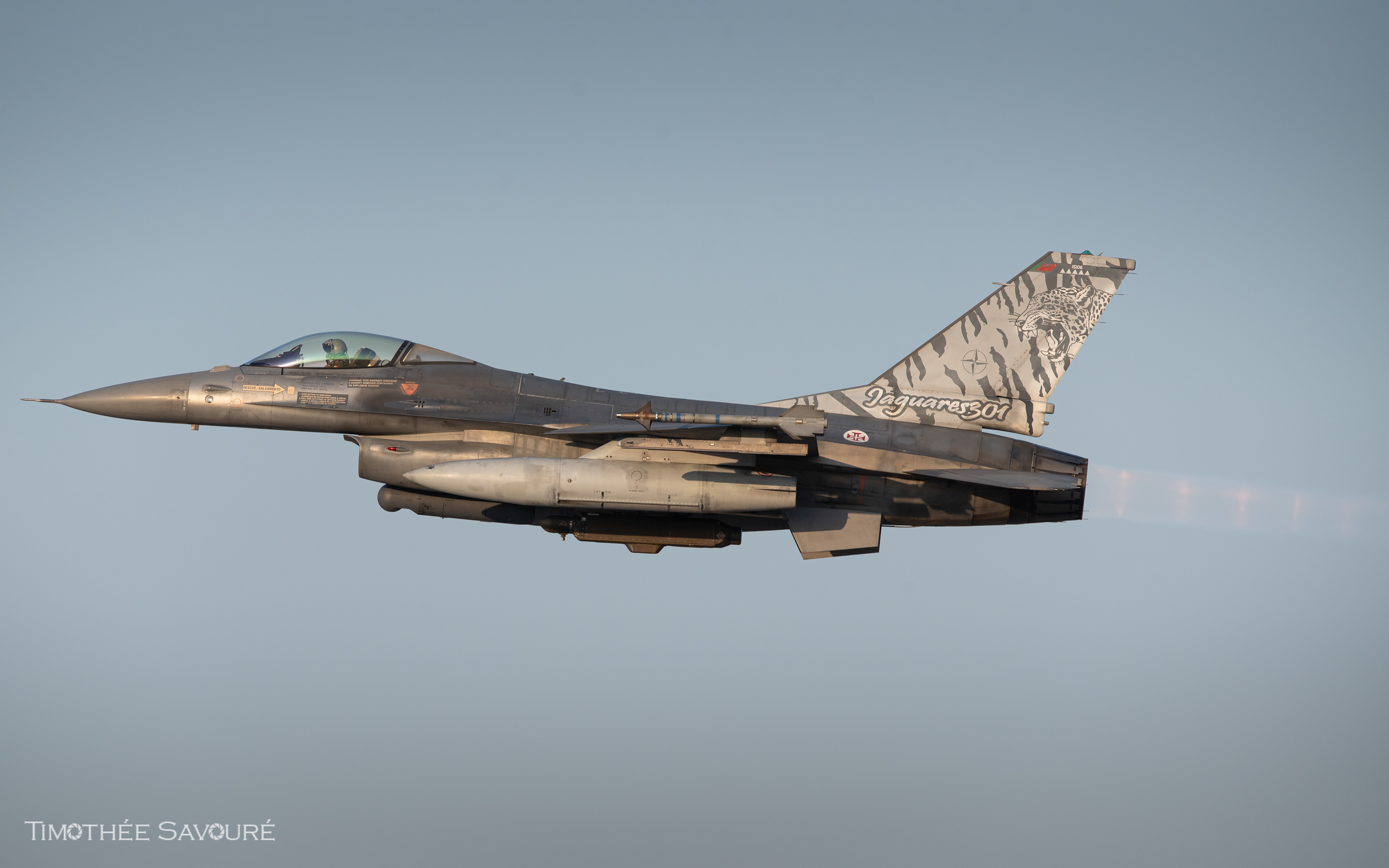 Portuguese Air Force General Dynamics F-16A | 15106