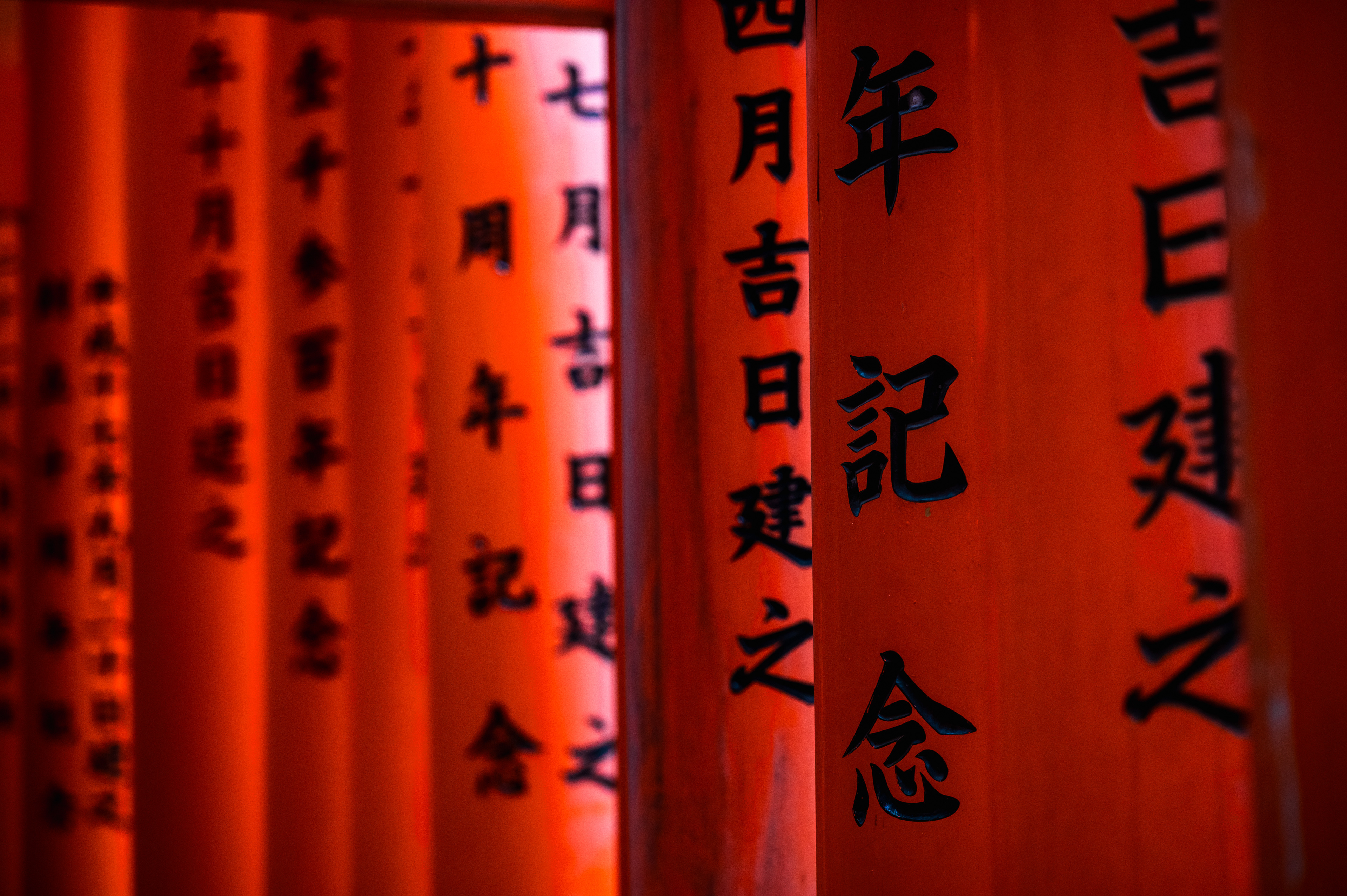 #14 Torii in Kyoto