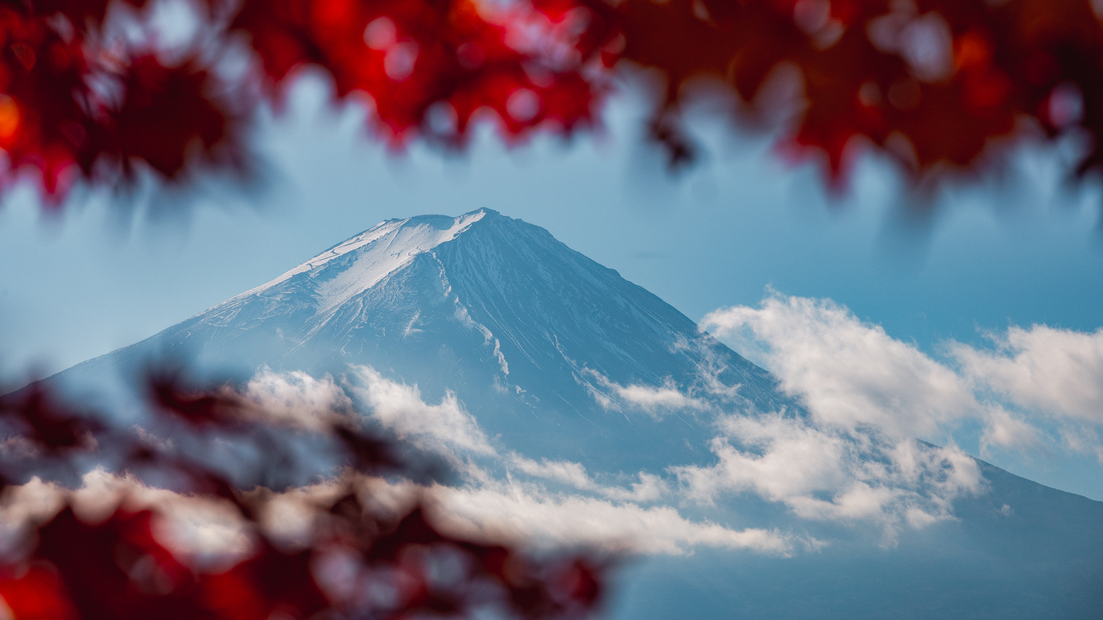 #4 Mt. Fuju Through the Leaves