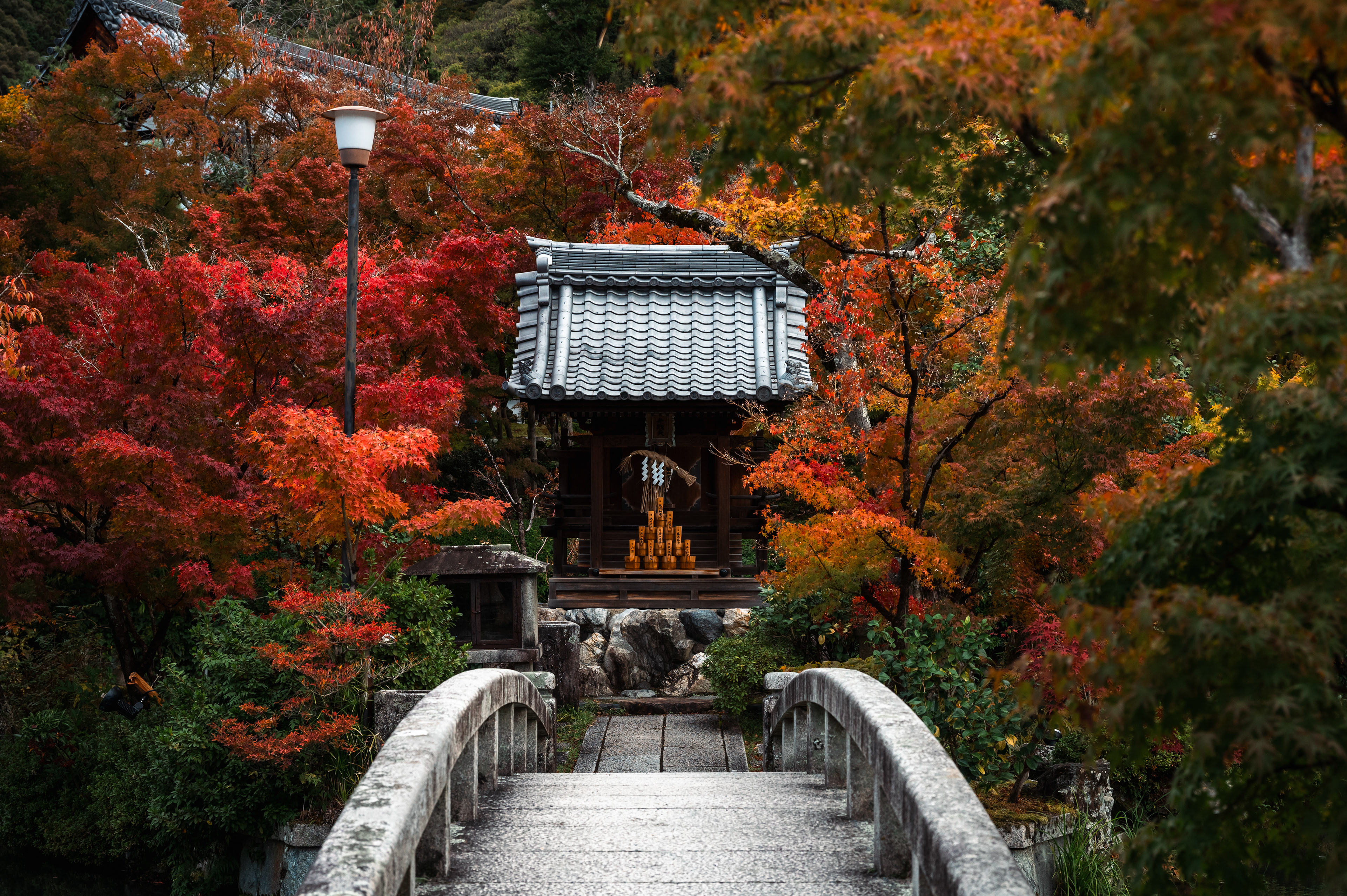 #18 Fall Leaves and Shrine