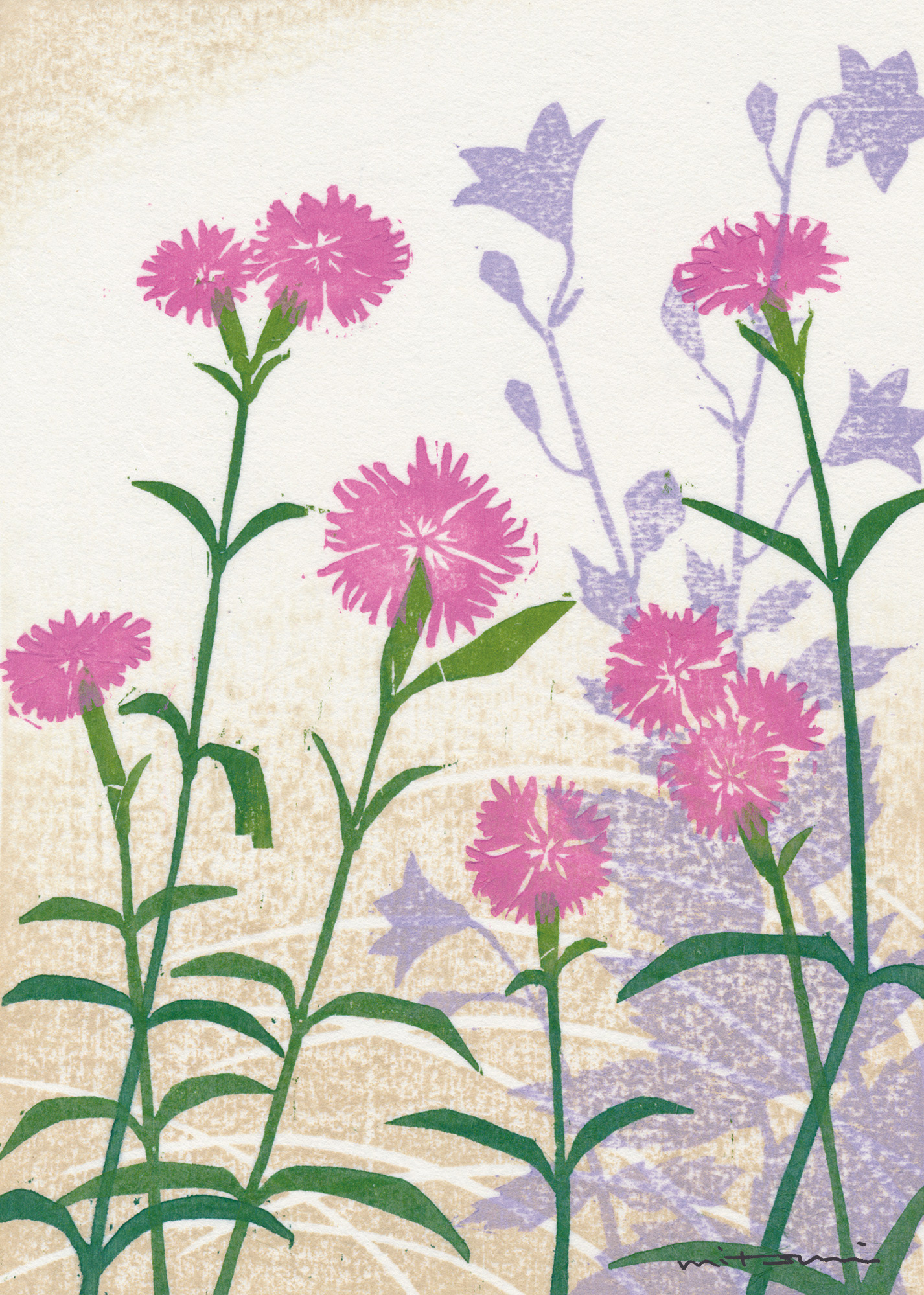 ナデシコ、キキョウ