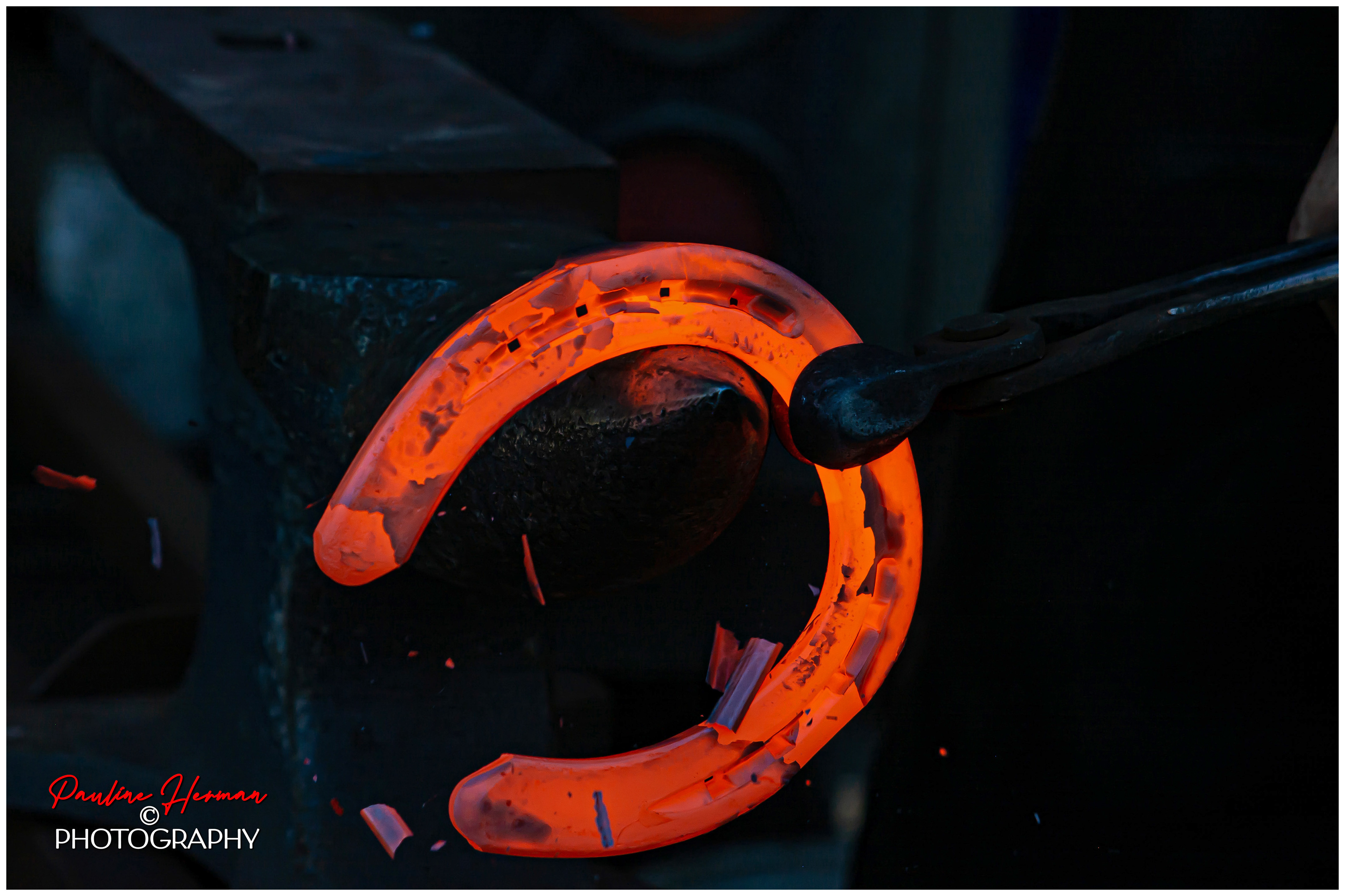 FARRIER TOOLS - SHOE SHAPING!