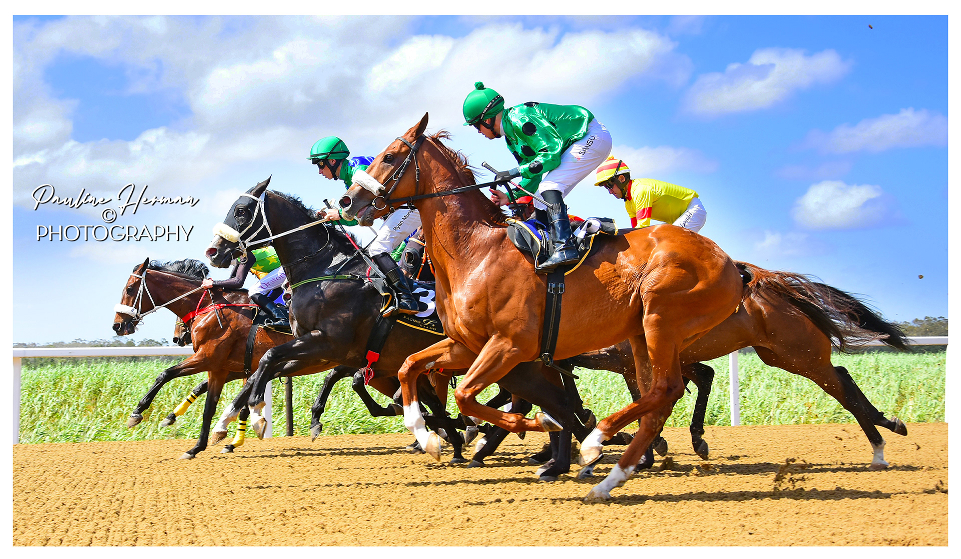 #JUMP - Race Horses a couple of strides out of the starting pens!