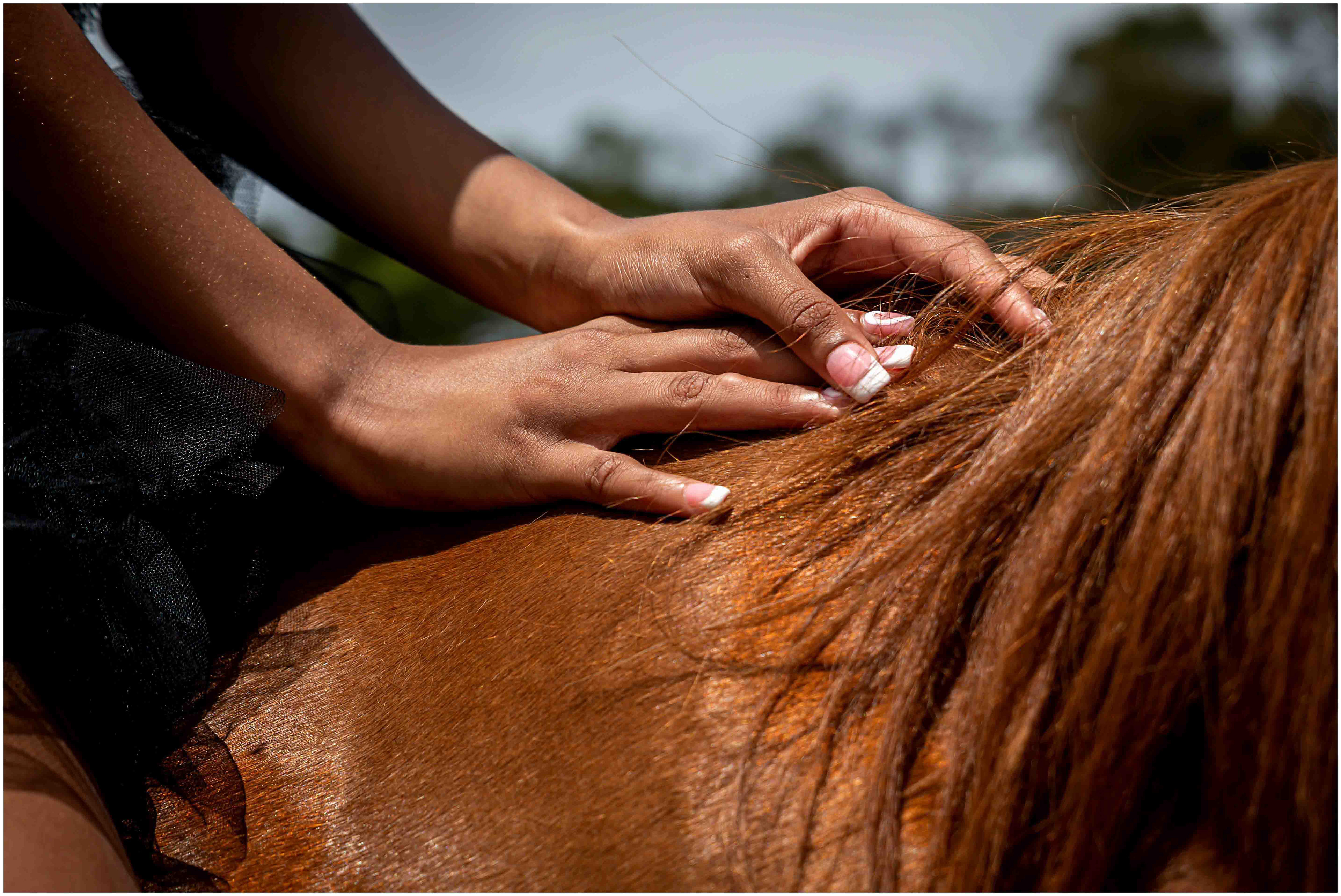 Getting the "horsey" feeling.