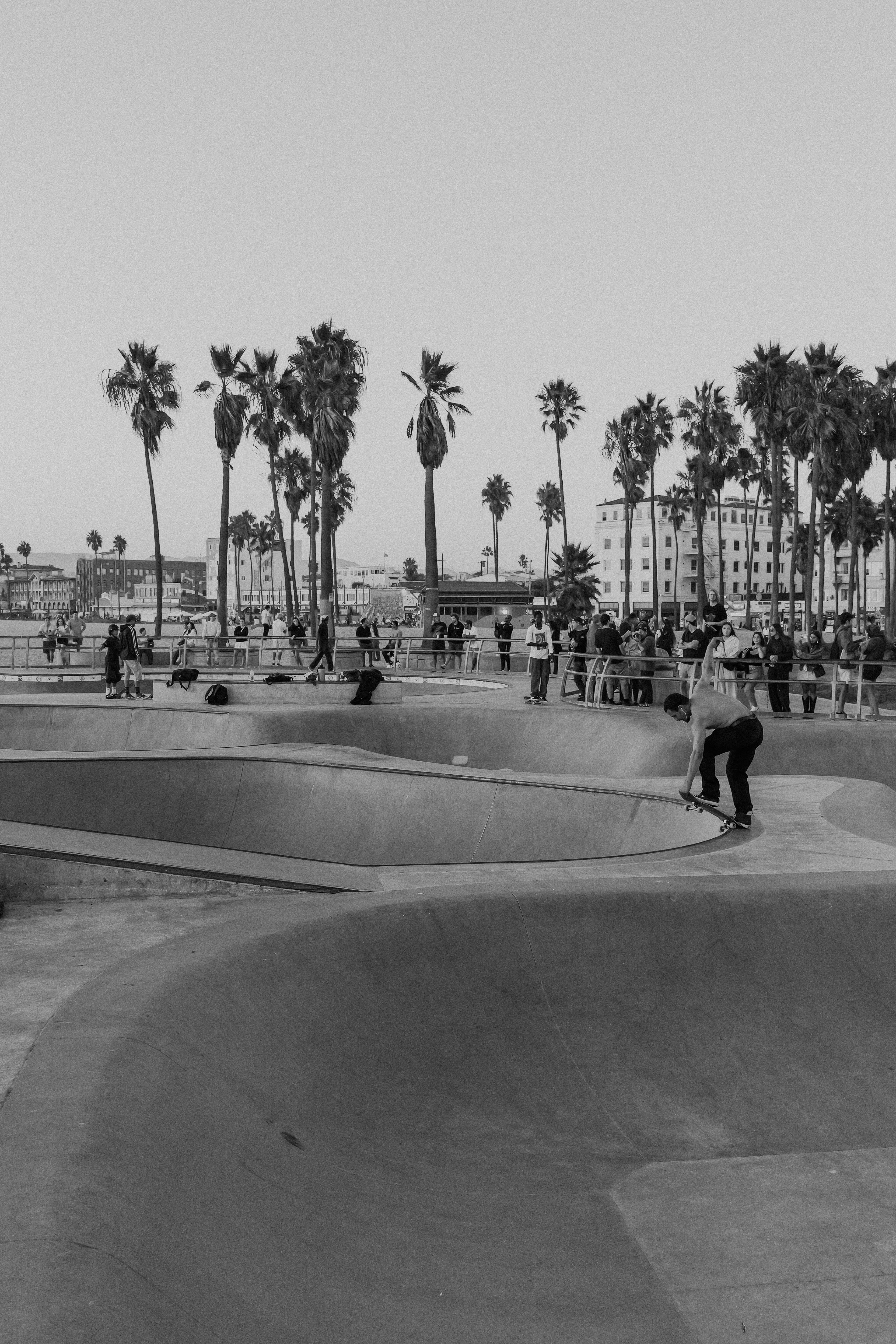 Venice Beach Skate Park