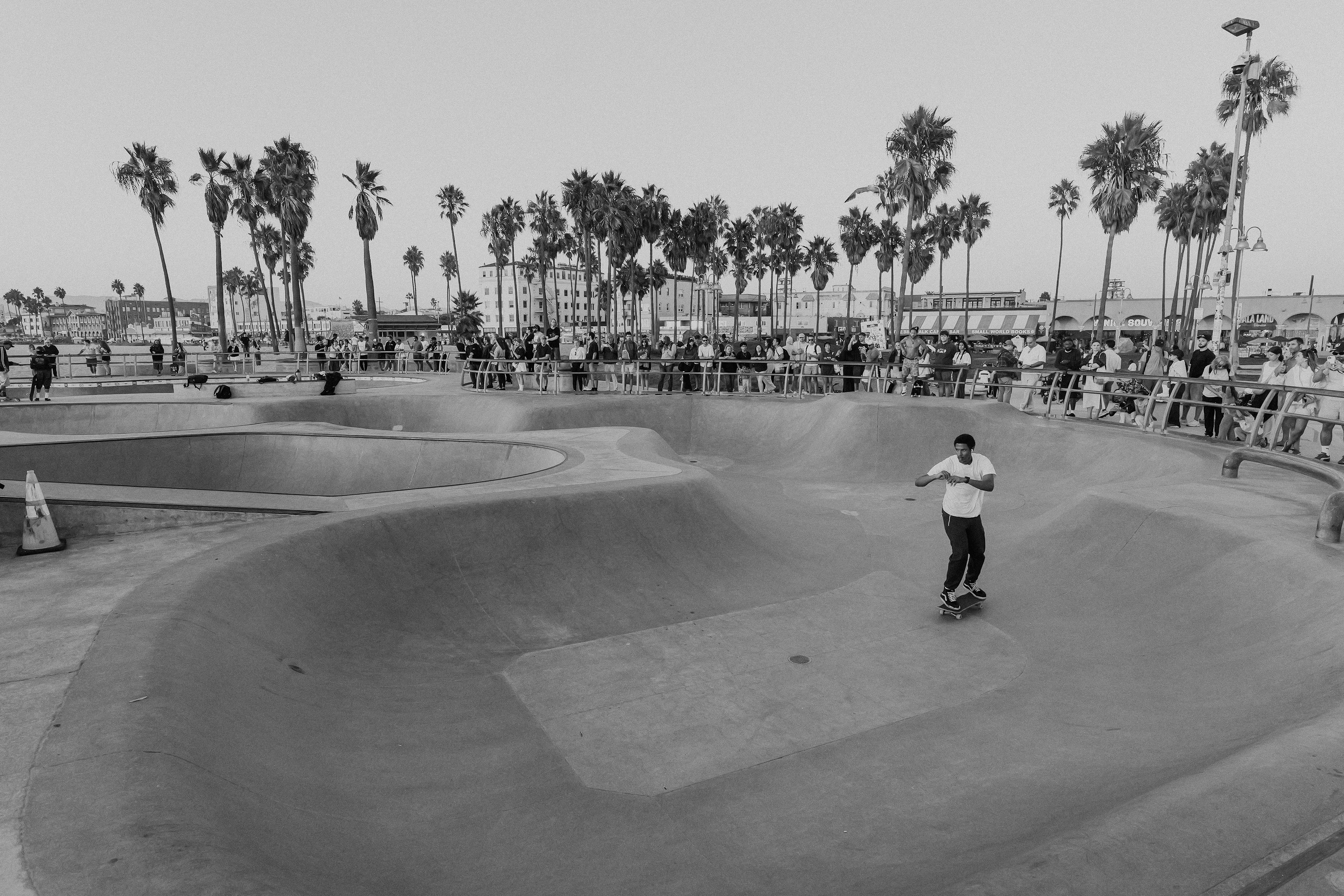 Venice Beach Skate Park