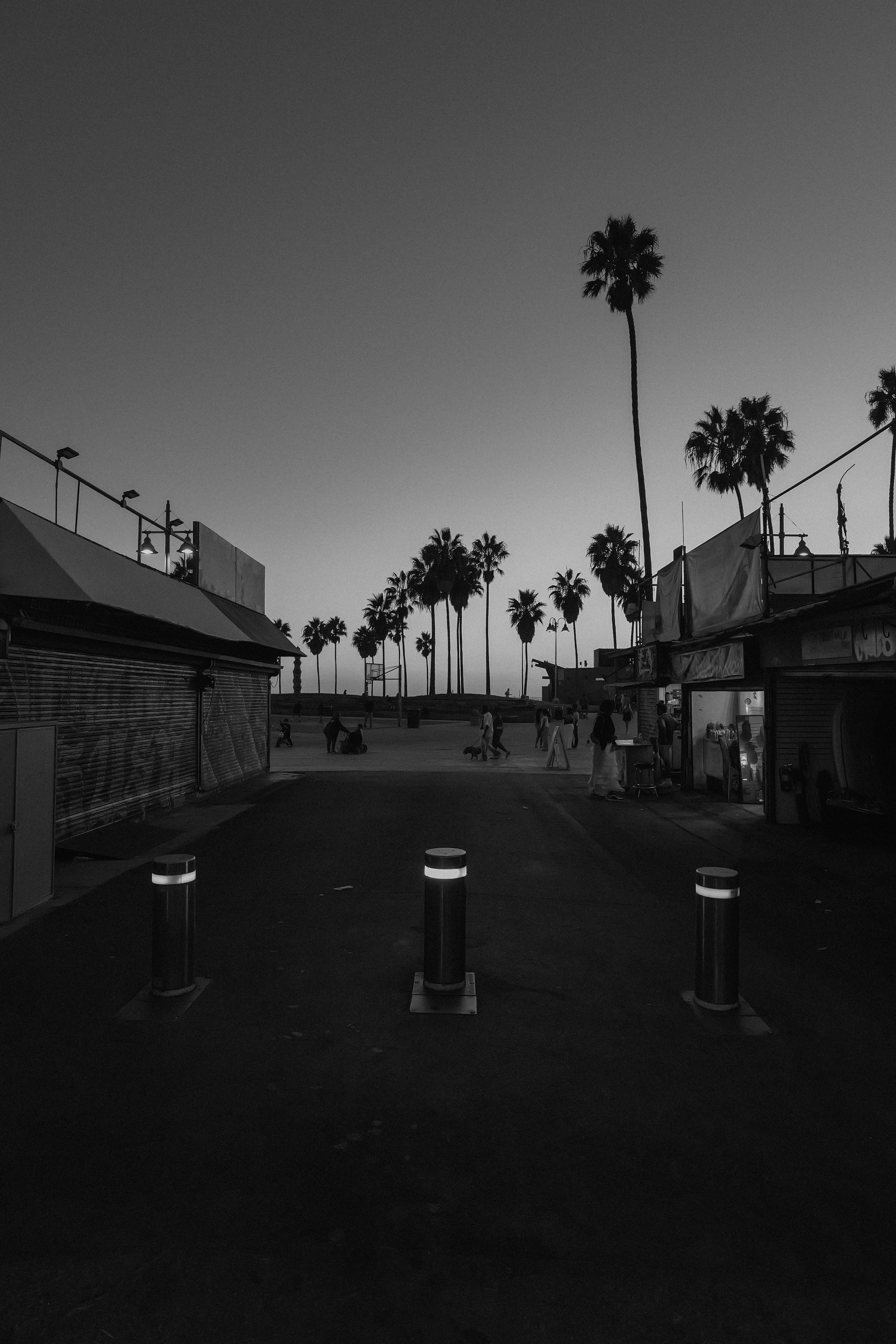 Venice Beach
