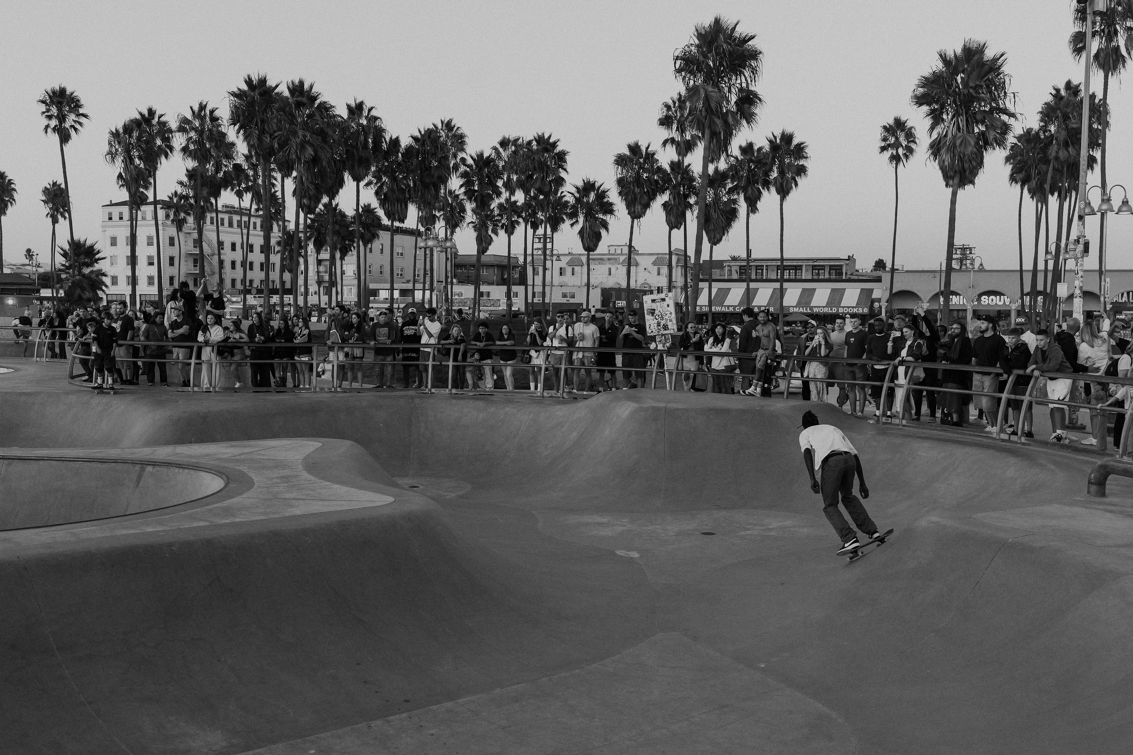 Venice Beach Skate Park