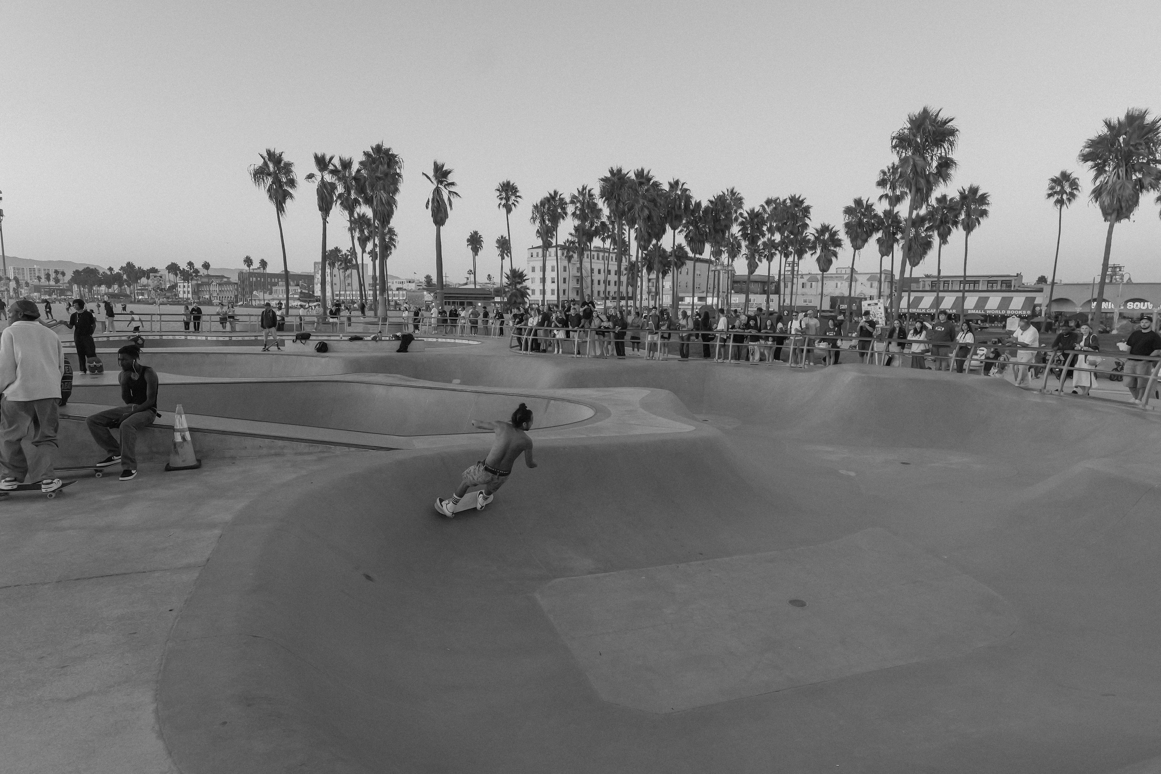 Venice Beach Skate Park