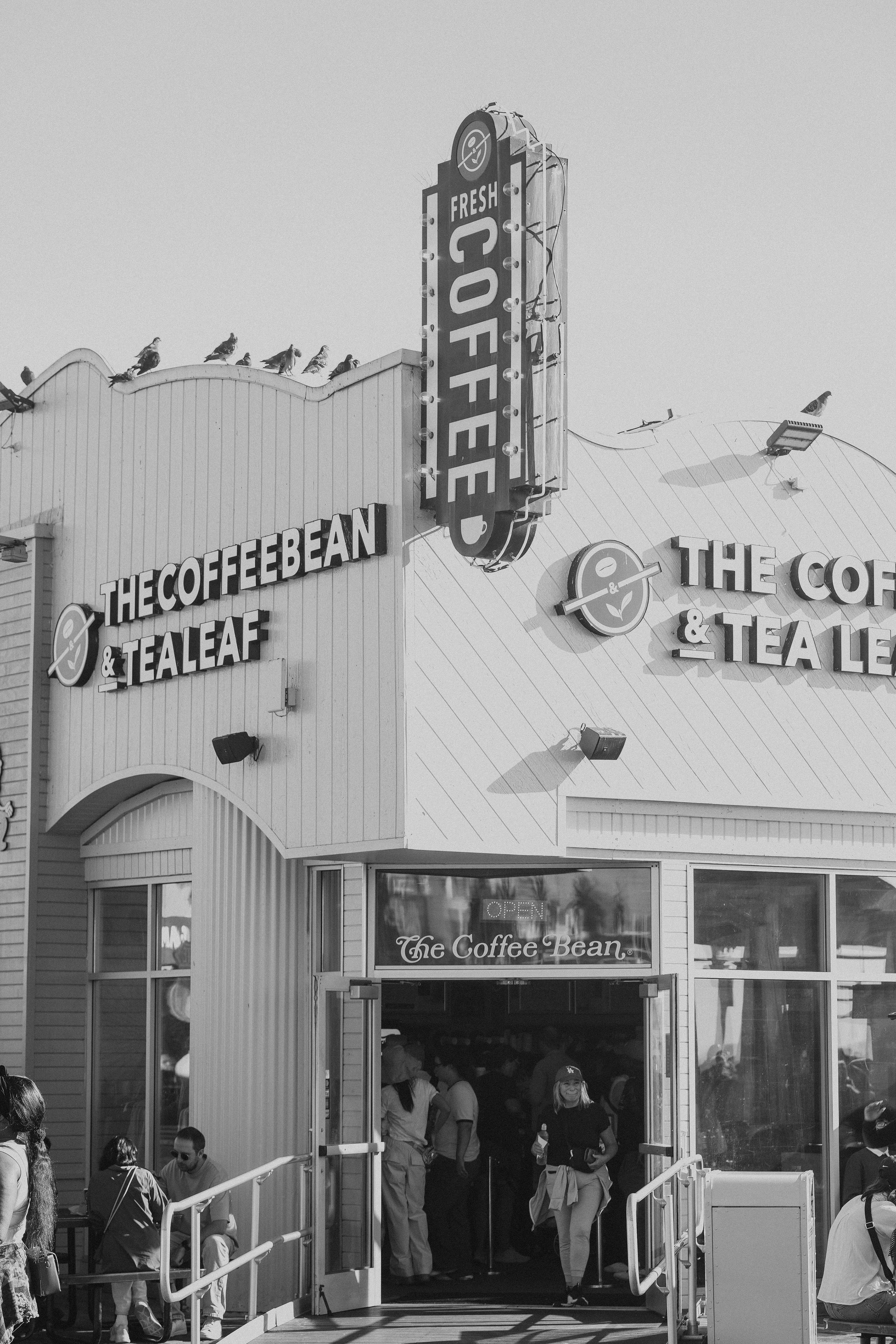 The Coffee Bean at Santa Monica Pier