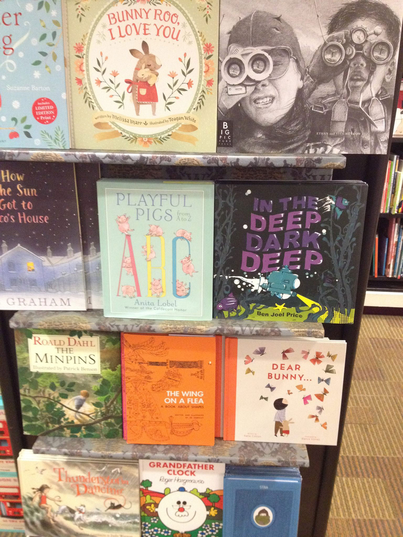 Books In The Wild: Waterstones, Piccadilly