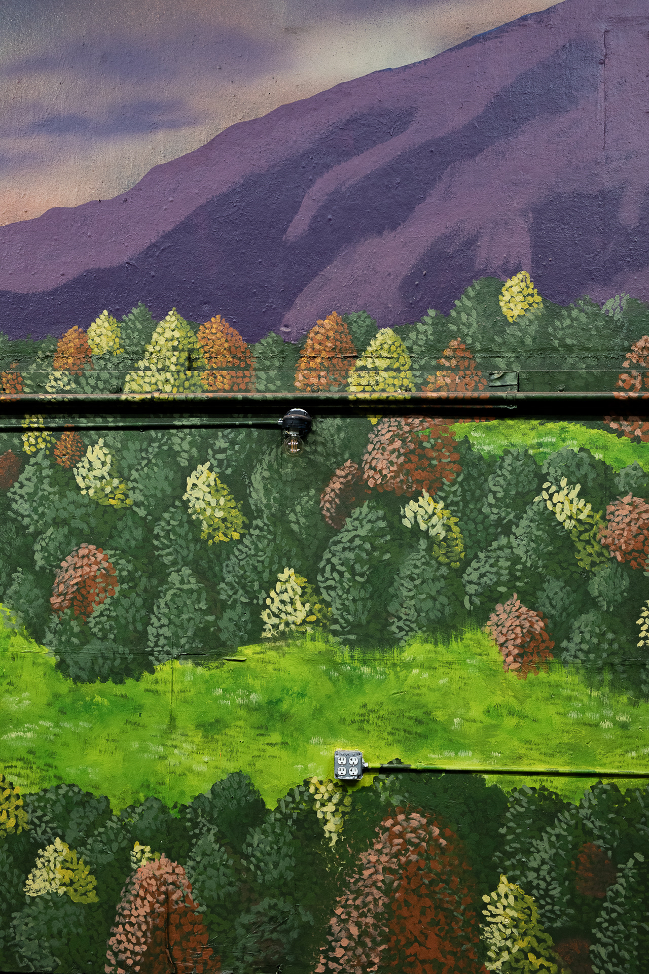 Back wall mural