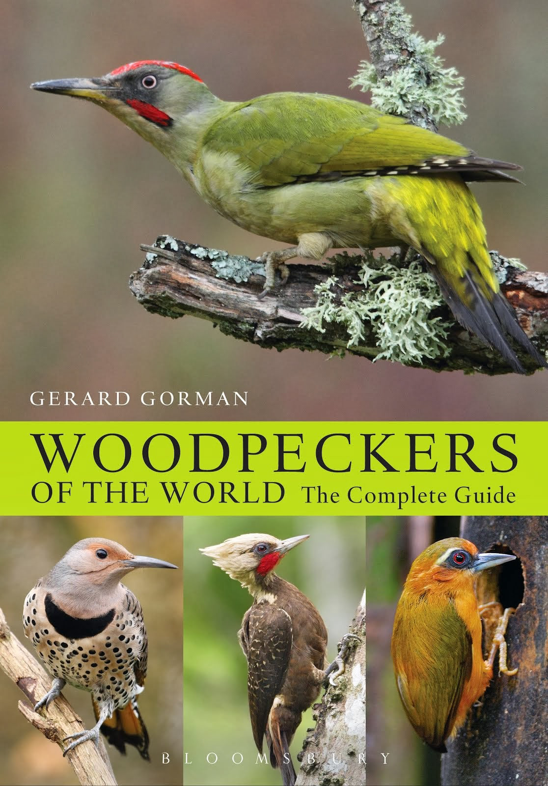 Published 19-06-2014  Author : Gerard Gorman  Publisher : Bloomsbury Publishing   http://www.bloomsbury.com/uk/woodpeckers-of-the-world-9781408147153/