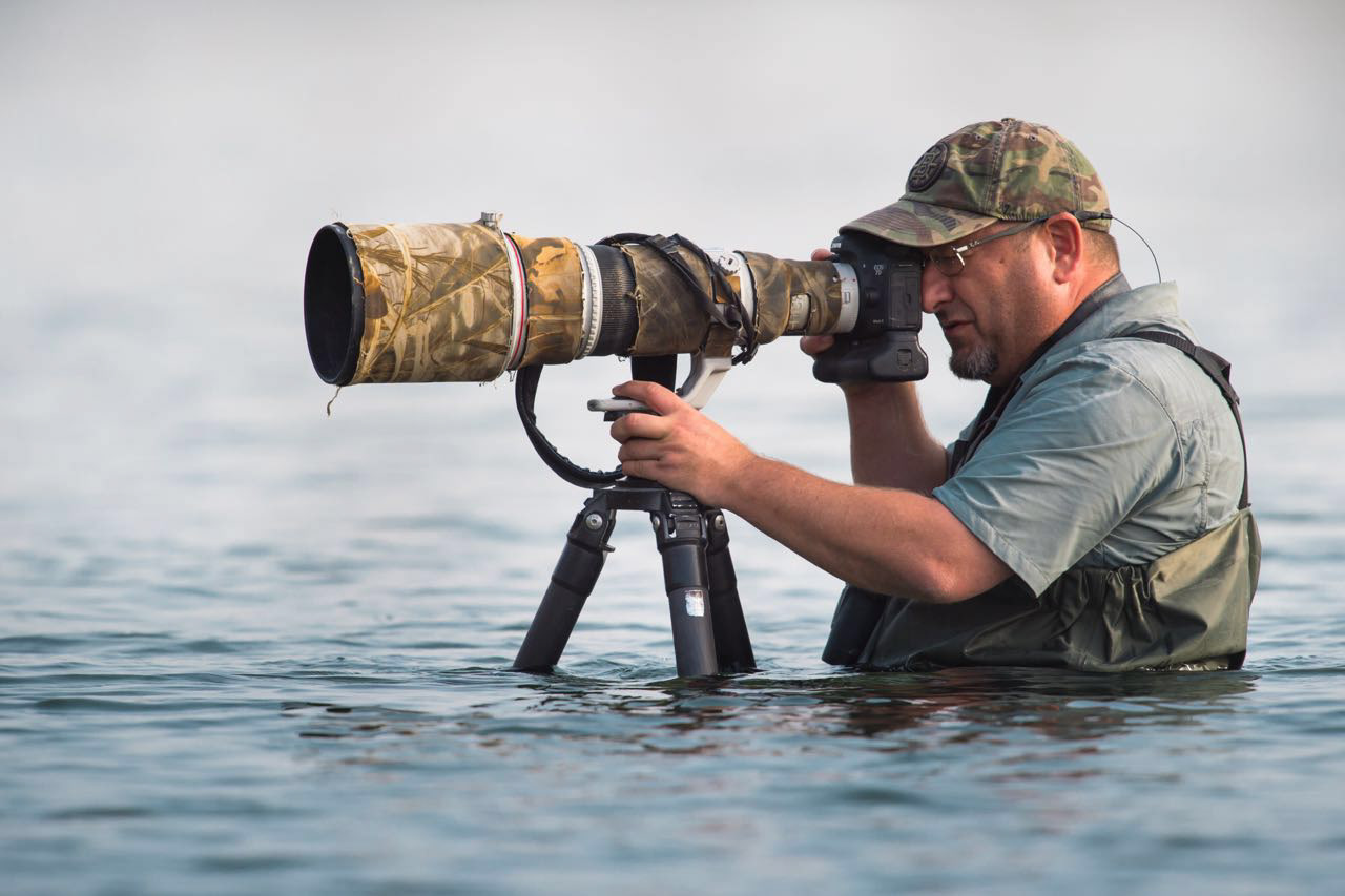 In the warm waters of the UAE
