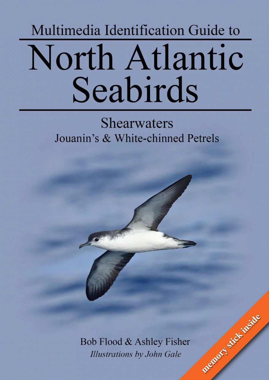 Shearwaters: Jouanin's & White-Chinned Petrels . Multimedia Identification Guide to North Atlantic Seabirds: Shearwaters: Jouanin's & White-Chinned Petrels