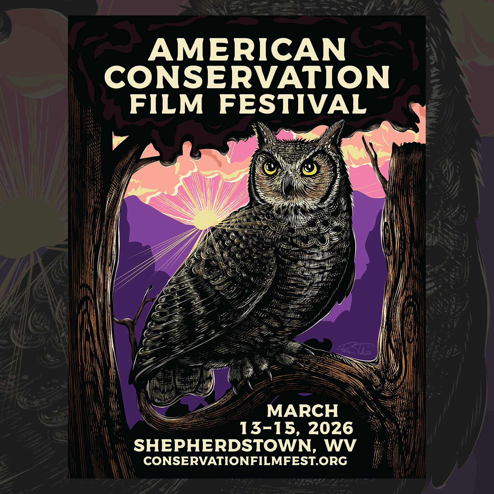 23th American Conservation Film Festival Poster 2026