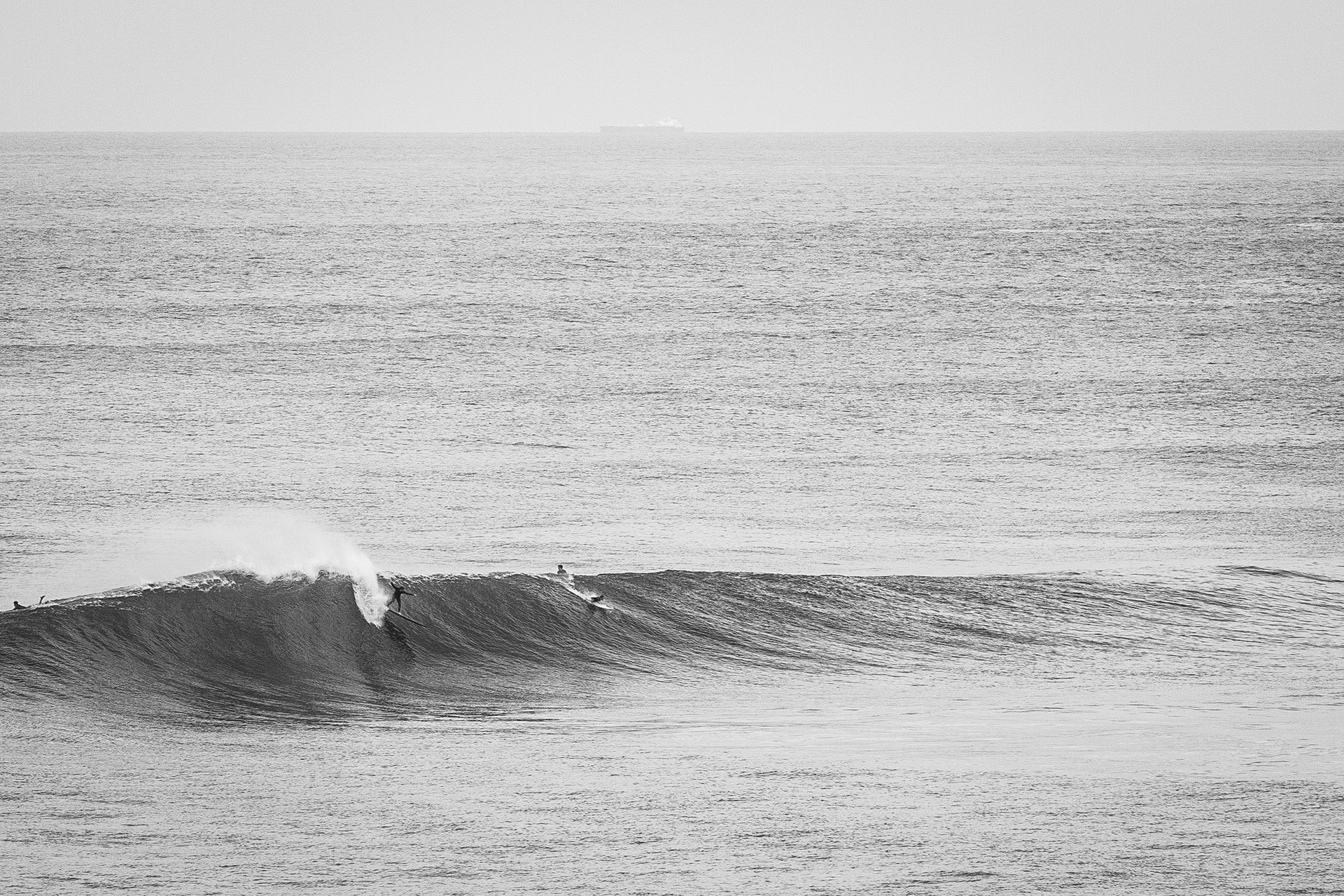 Unknown, Manly Australia 2016