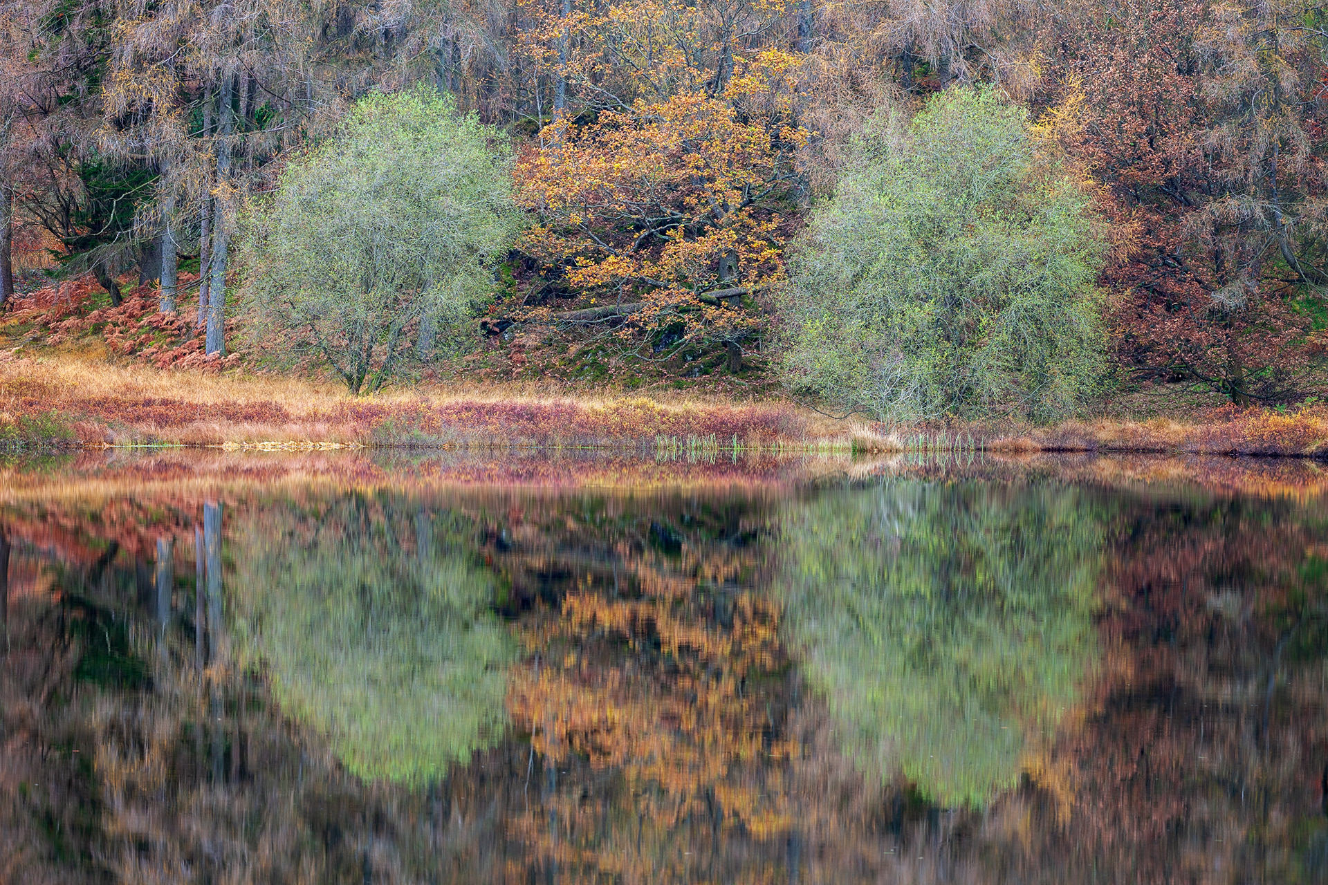 Bit of Symmetry at Rydal Water