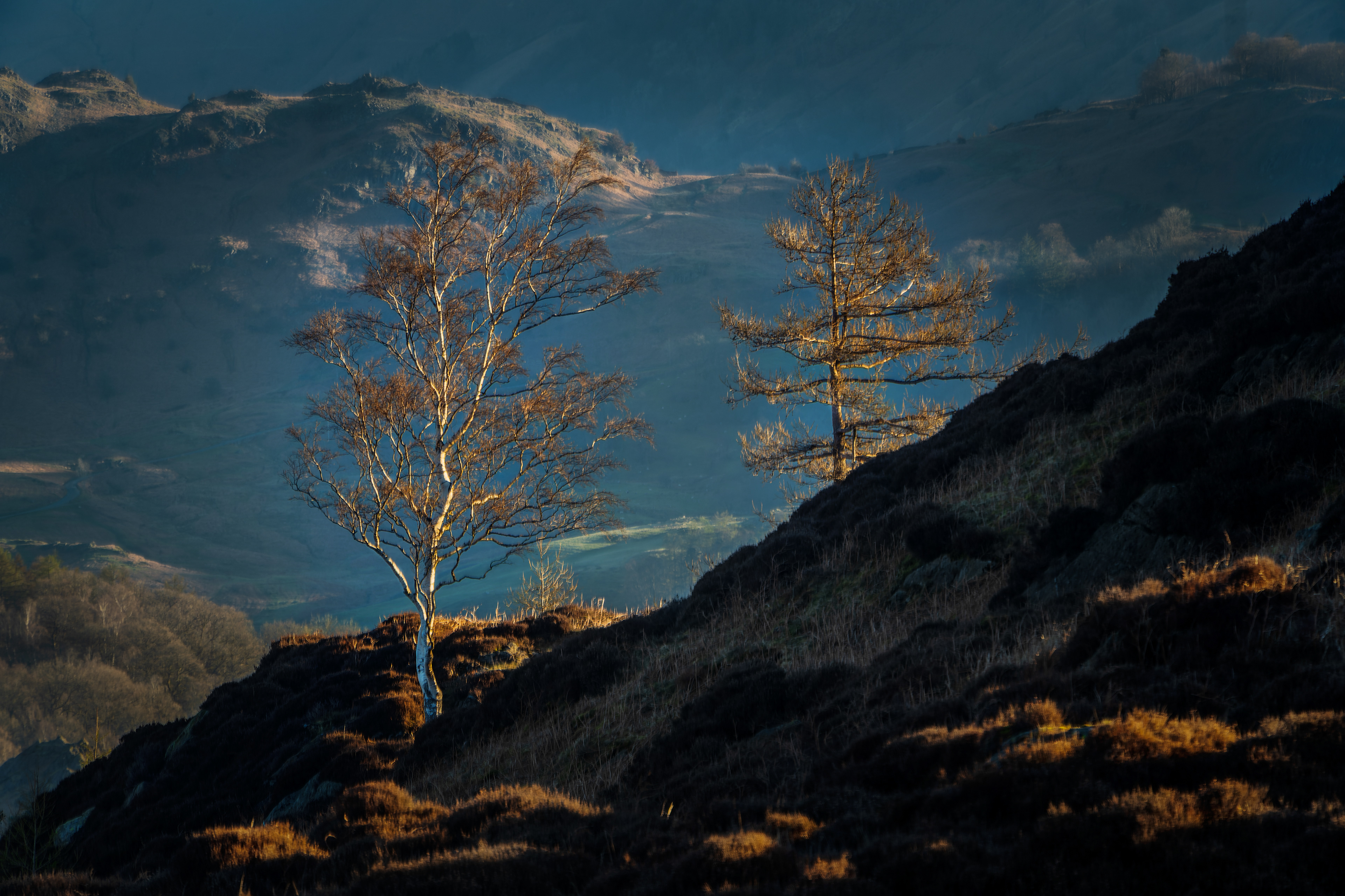 Early Light at Holme Fell