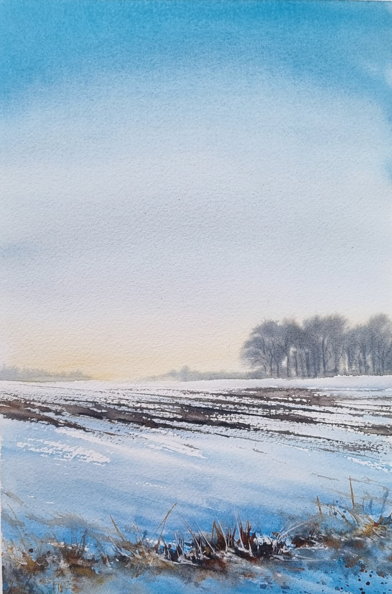 Besneeuwd veld